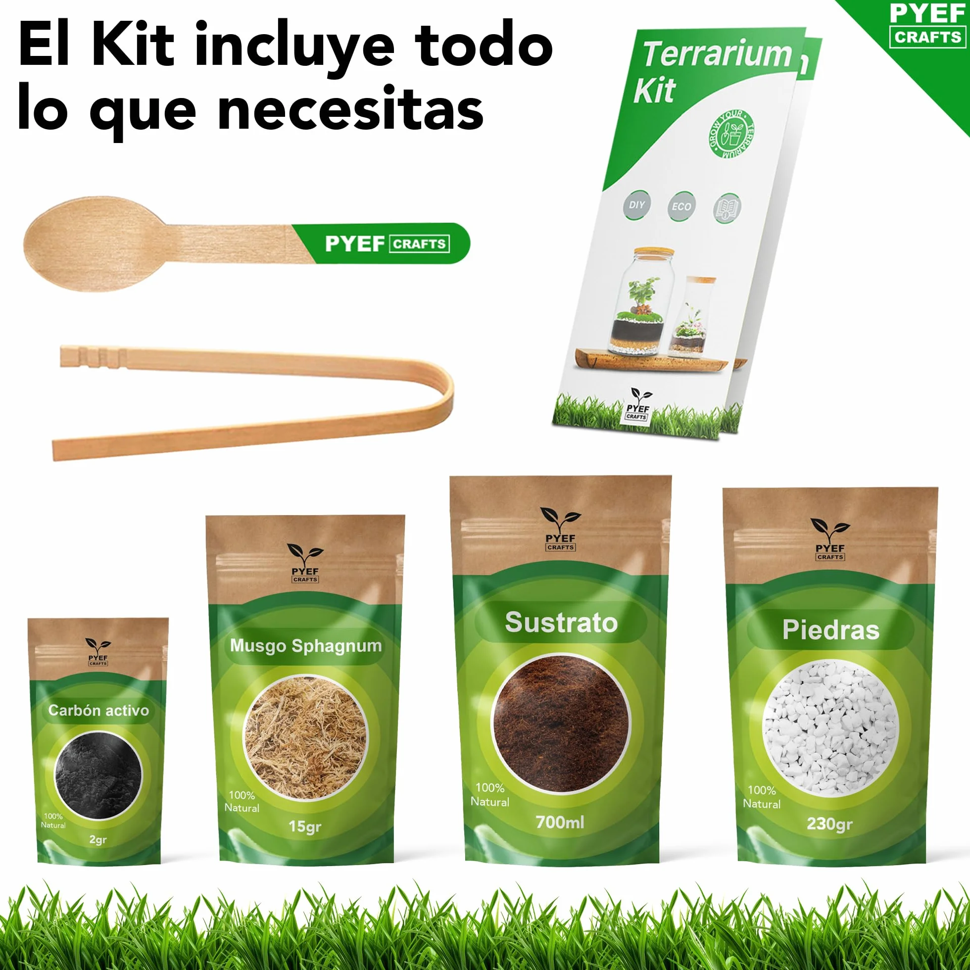 Kit Terrario Plantas DIY - Set Ecosistema Cerrado para Jardin en Botella 1-2L - Terrarium Interior - Kit Creacion Sin Planta
