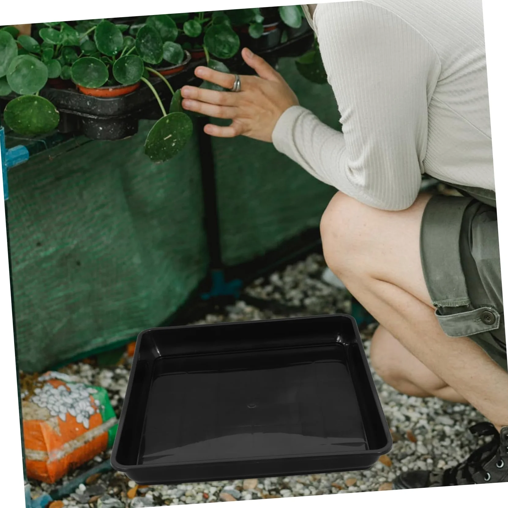 Toddmomy 2 Piezas De Base De Maceta Bandejas De Goteo para Maceta Bandeja De Agua para Plantas Bandejas para Plantas Platillo para Plantas En Maceta Platillos Cuadrados para Macetas