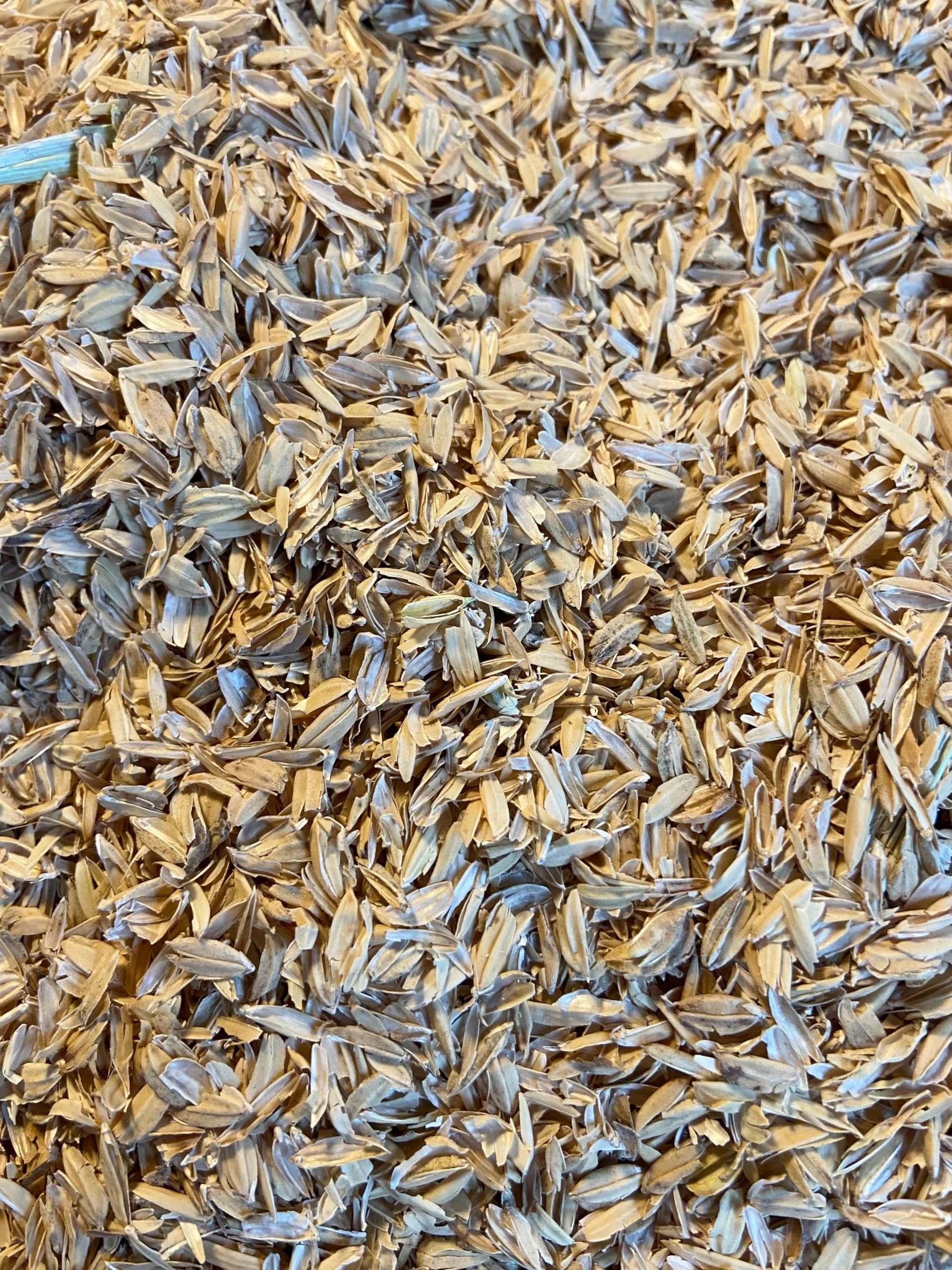 Bio Cascaras de Arroz – Fuente natural de silicio – Mejora estructural del sustrato para Living Soil (10L)