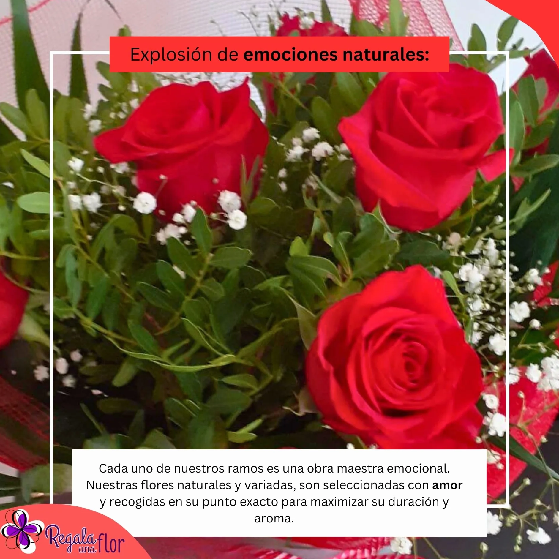 Ramo de 6 rosas naturales a domicilio con bombones y tarjeta