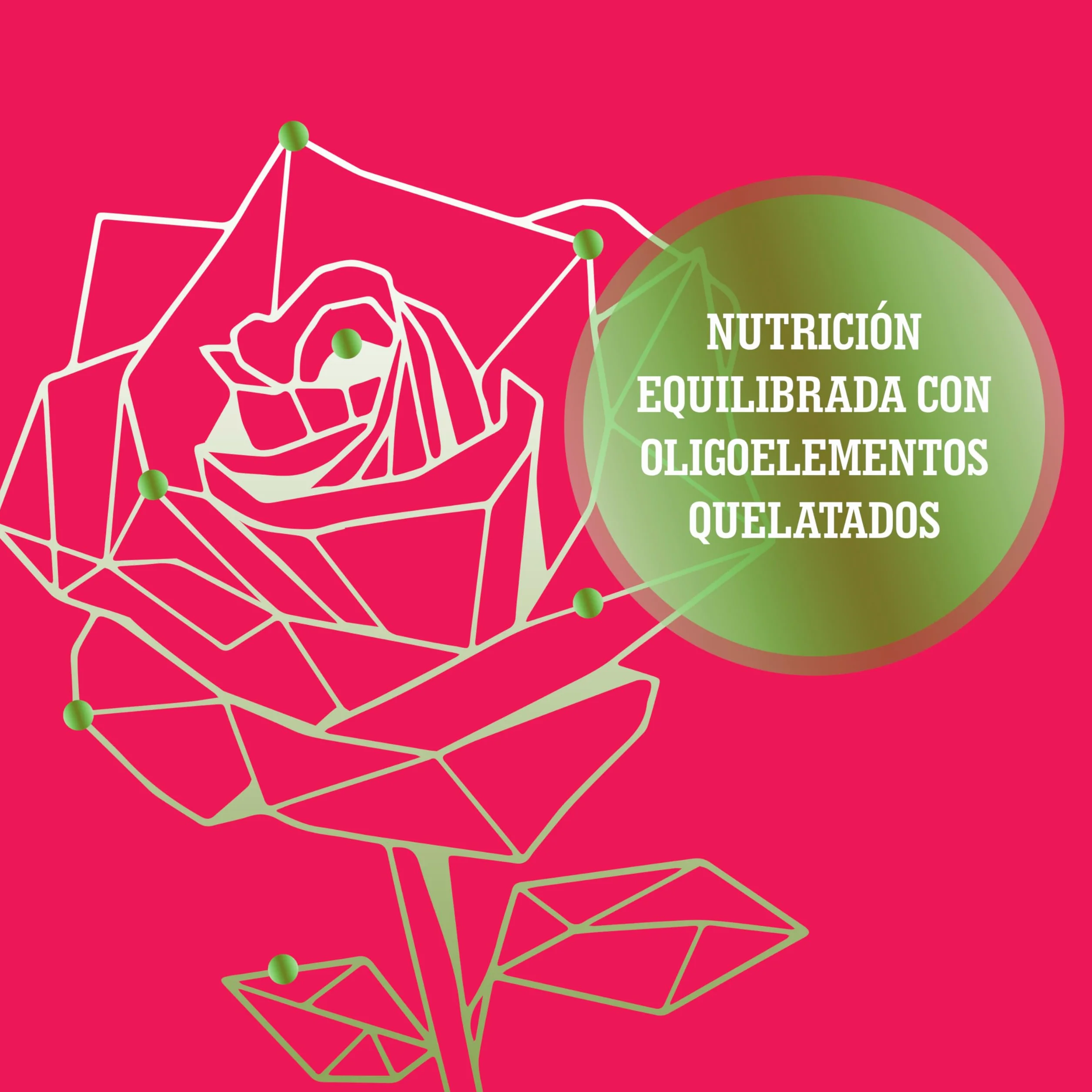 LERAVA Abono líquido para rosas 700 ml con tapón dosificador quelatos microelementos Made in Italy