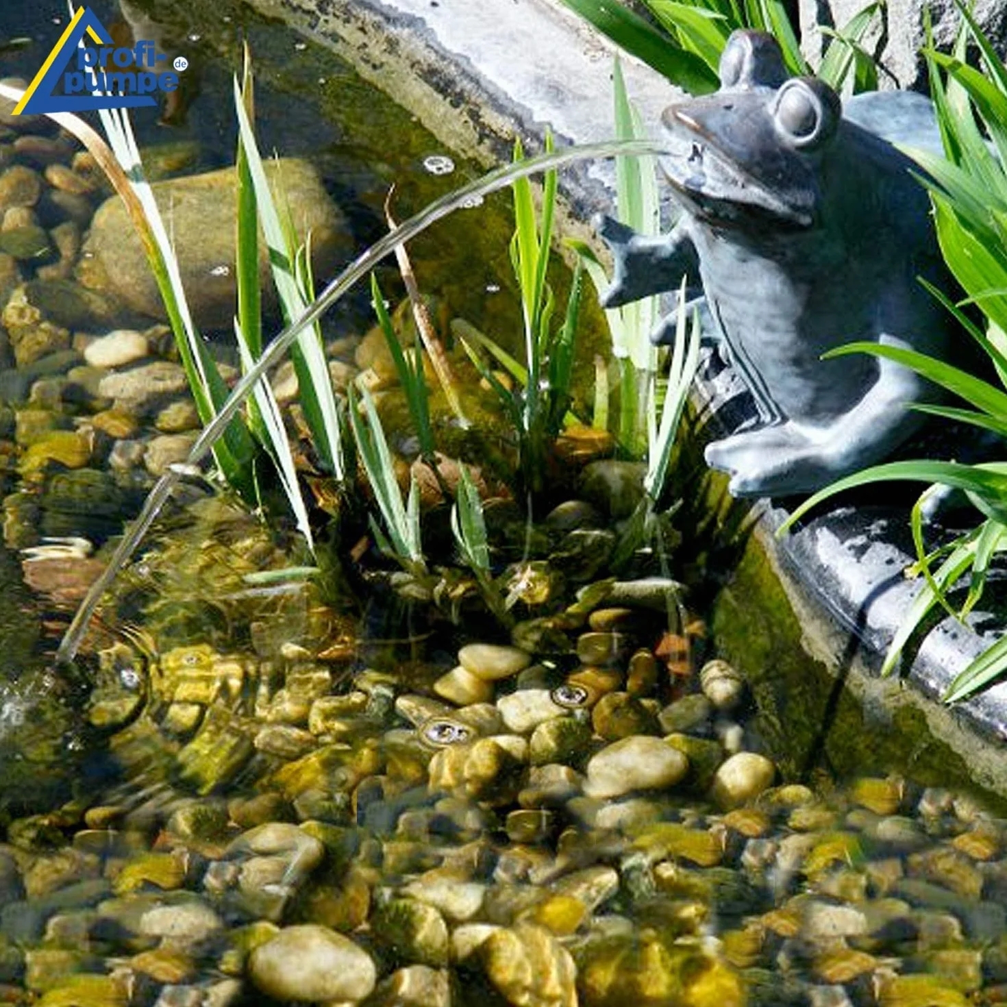 Fuente Solar - Fuente Decorativa Exterior - Bomba para Estanque ''Rey Rana'' Fuente Solar con Juego de Agua - Bebedero para pájaros - Bomba Solar DE Agua - Bomba