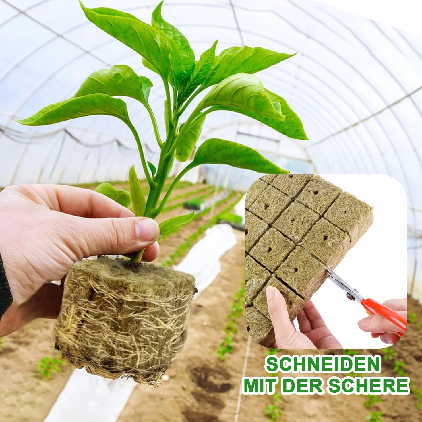 Cubos De Lana De Roca 56pcs 4 x 4 x 4 cm para Cultivo Hidropónico sin Suelo
