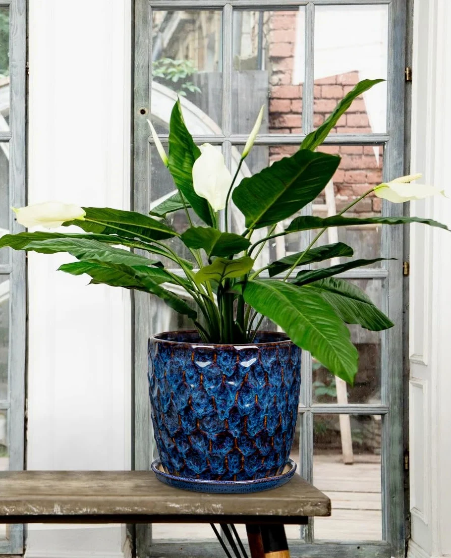 Juego de 2 macetas de cerámica esmaltada azul para interiores con drenaje y platillo, maceta decorativa de cerámica para plantas de interior, suculentas, cactus, macetas modernas de interior