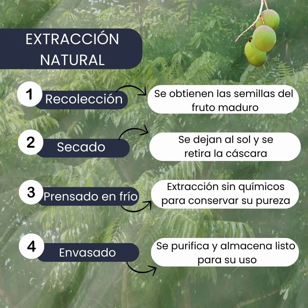 PLANTAWA Aceite de Neem 500ML Multiusos Natural