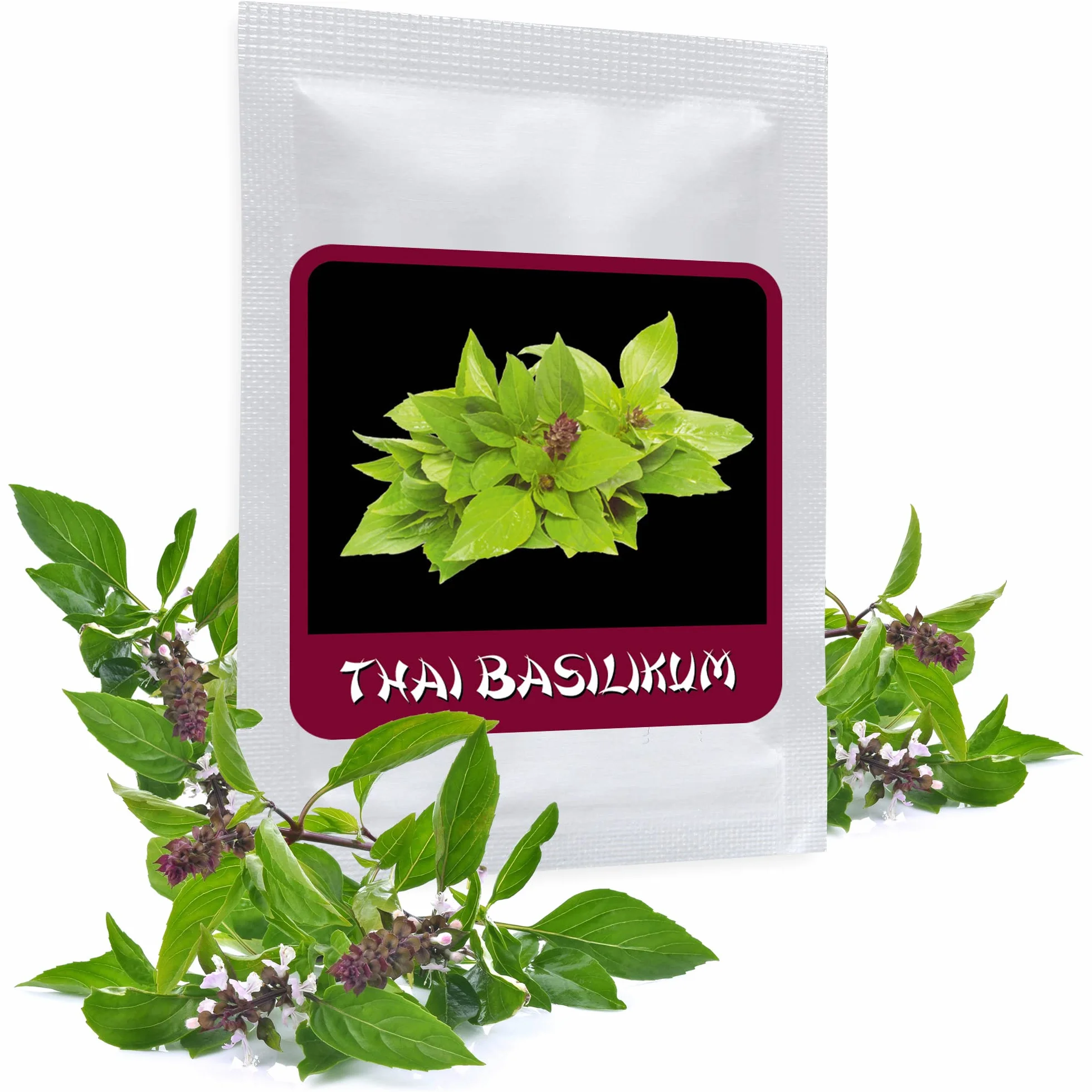 Semillas de Albahaca Tailandesa 100 Pcs Ocimum Basilicum Hierba Aromática para Cocina Asiática