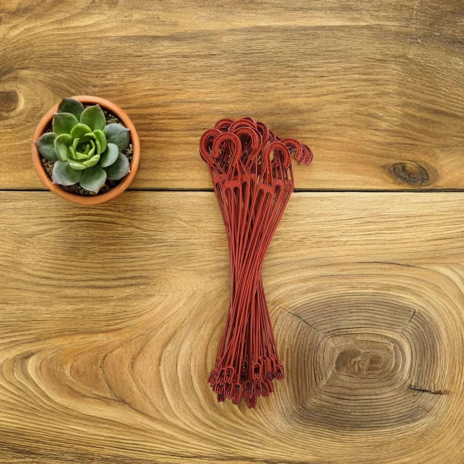COLLBATH 30 Ganchos para Plantas de Plástico Rojo, Resistentes y Antioxidantes para Macetas Pequeñas, Accesorios de Jardín para Colgar Tiestos en Balcón