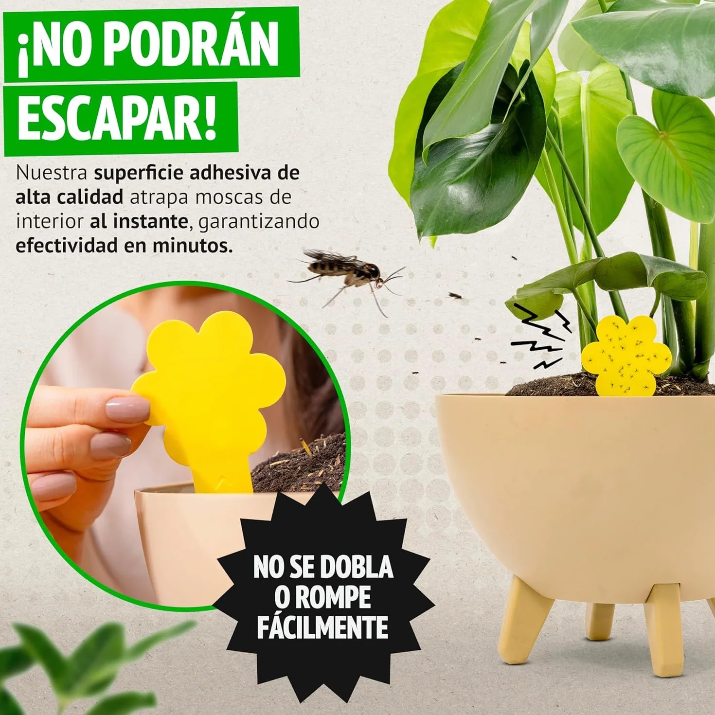 Trampas para Moscas Pack 30 Adhesivas Plantas Interiores No Tóxico Ecológico 3 Meses