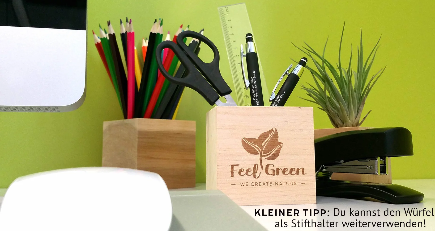 Feel Green Celebrations Ecocube Semillas ecológicas Cubo de Madera Grabado láser Zeit Um Einmal Danke zu Sagen Set de Cultivo Fabricado en Austria