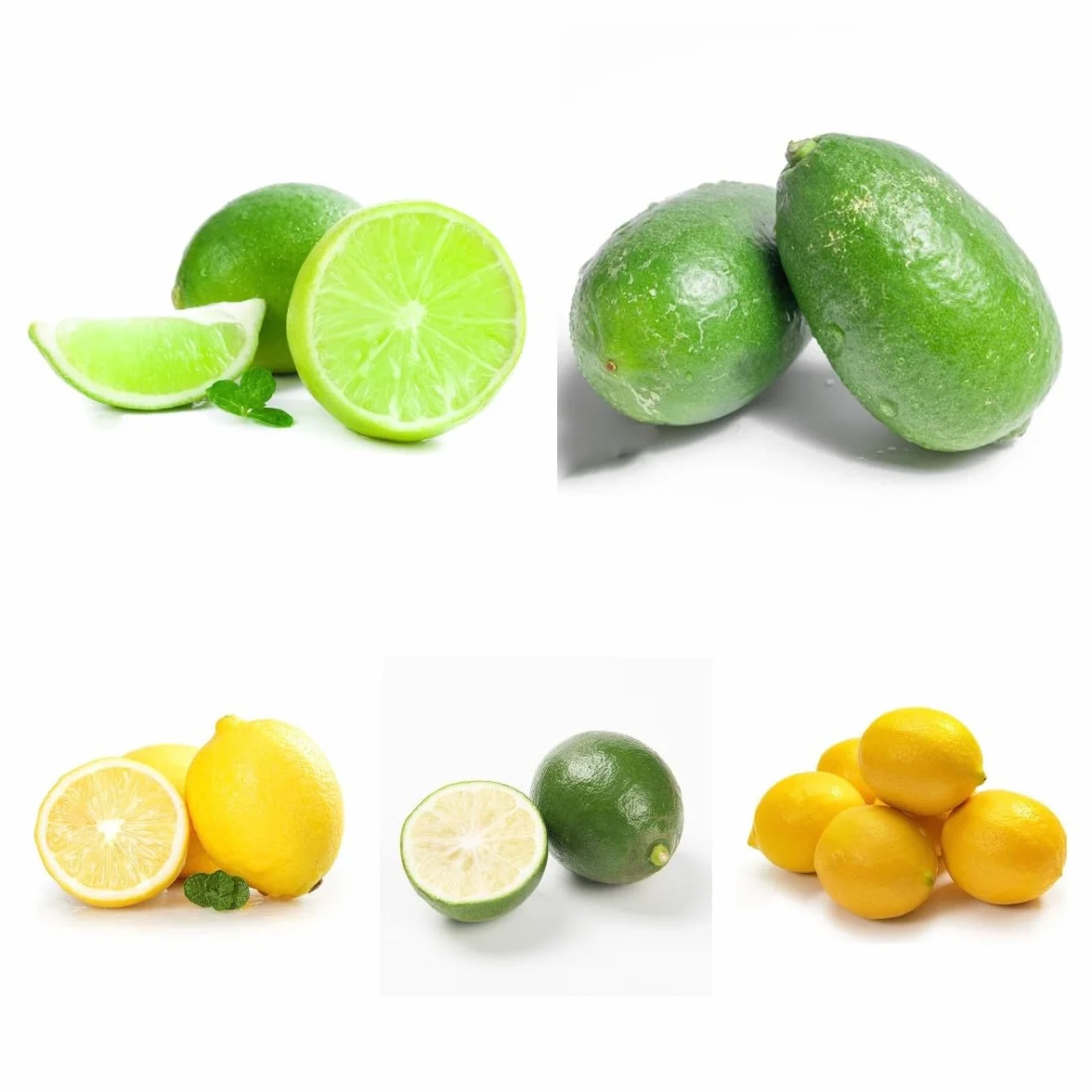 Semillas de Limonero Resistentes 120 Piezas Limón Cítrico Fruta Fresca Plantas de Balcón