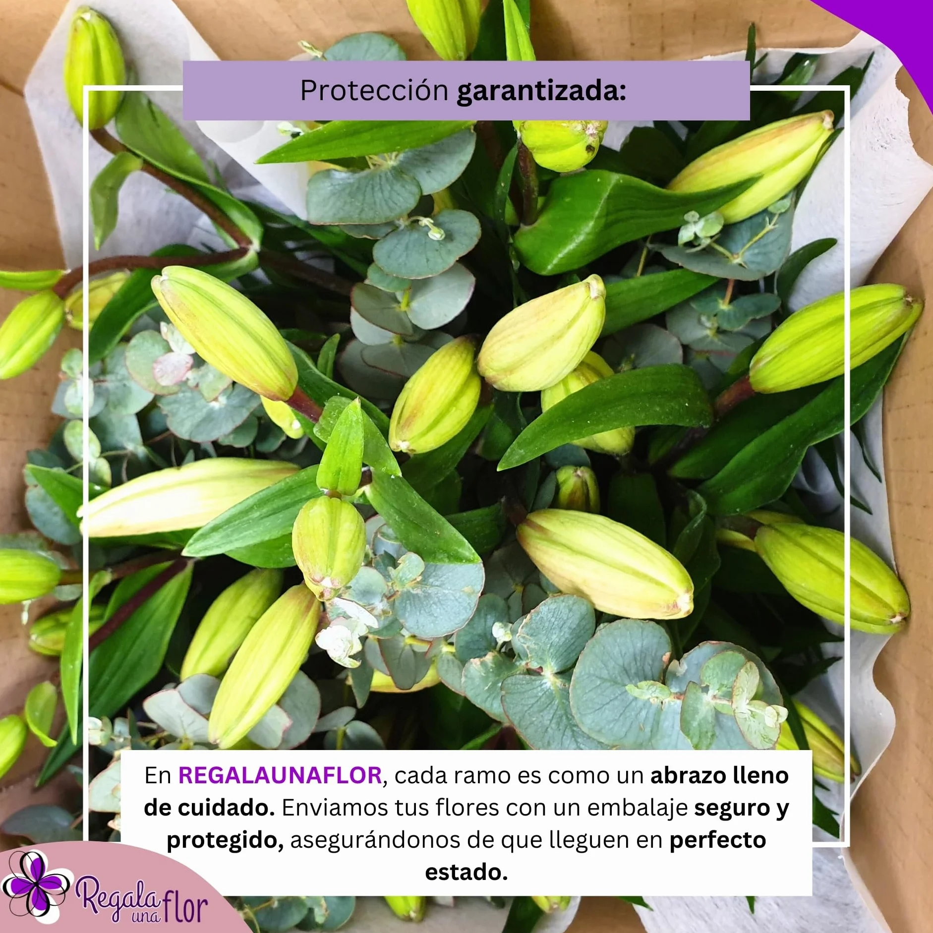 Ramo de flores naturales a domicilio Lilium blanco con tarjeta de dedicatoria