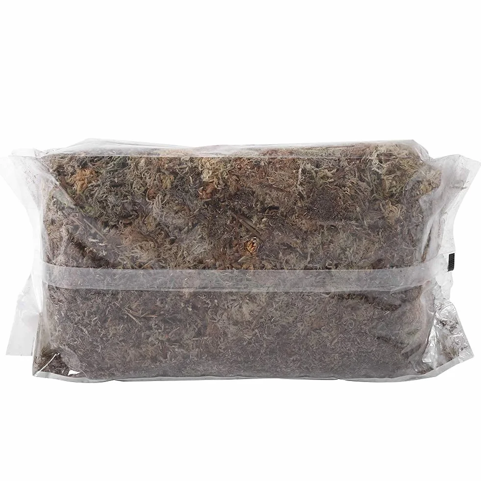 Weikeya Musgo Sphagnum fibroso seco para orquídea Phalaenopsis