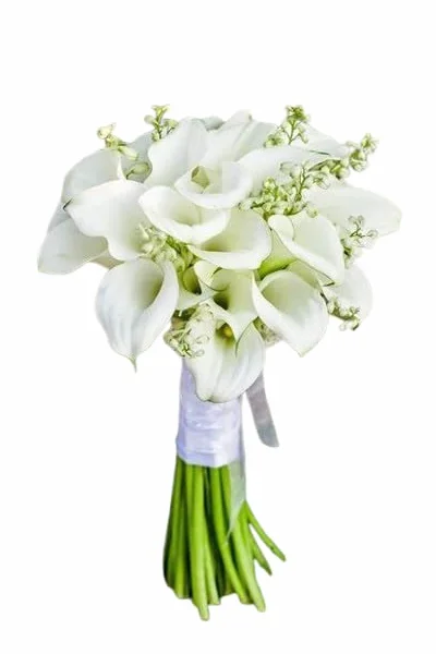 Ramo de Cala Natural Color Blanco 10 Flores Presentación Premium