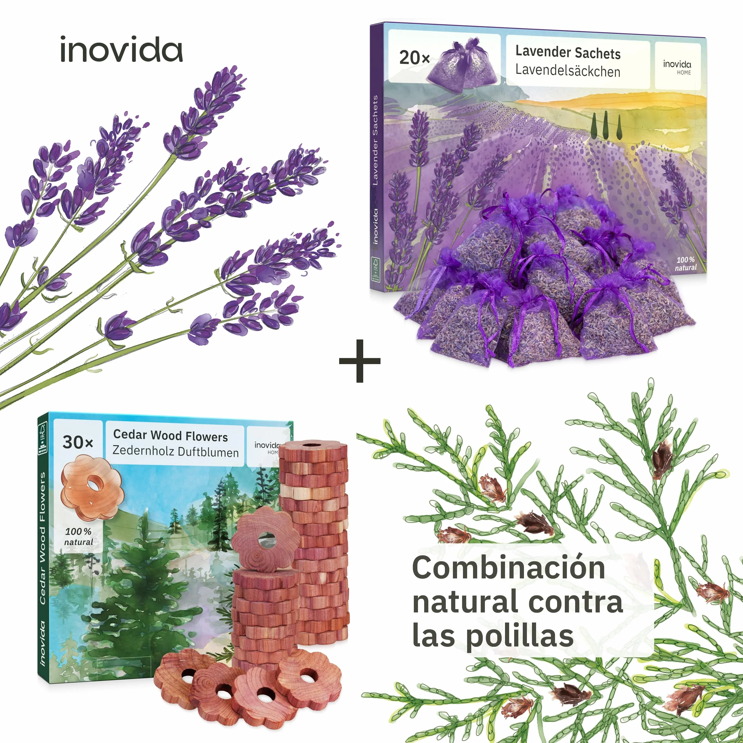 Inovida Anillos Antipolillas de Madera de Cedro : 30 Flores con Fragancia de Madera de Cedro como Protección Antipolillas para Armarios – Fragancia Natural – Protección Antipolillas en el Armario