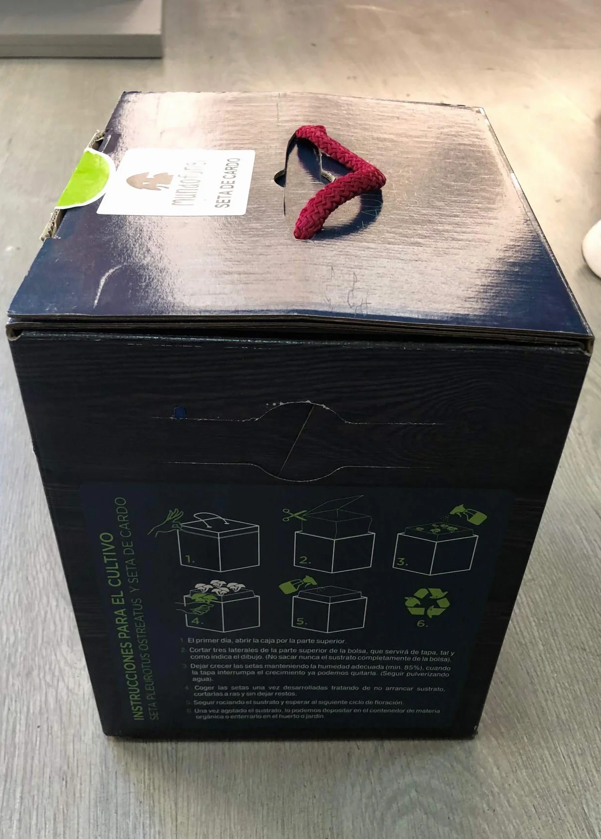 Kit Autocultivo Setas