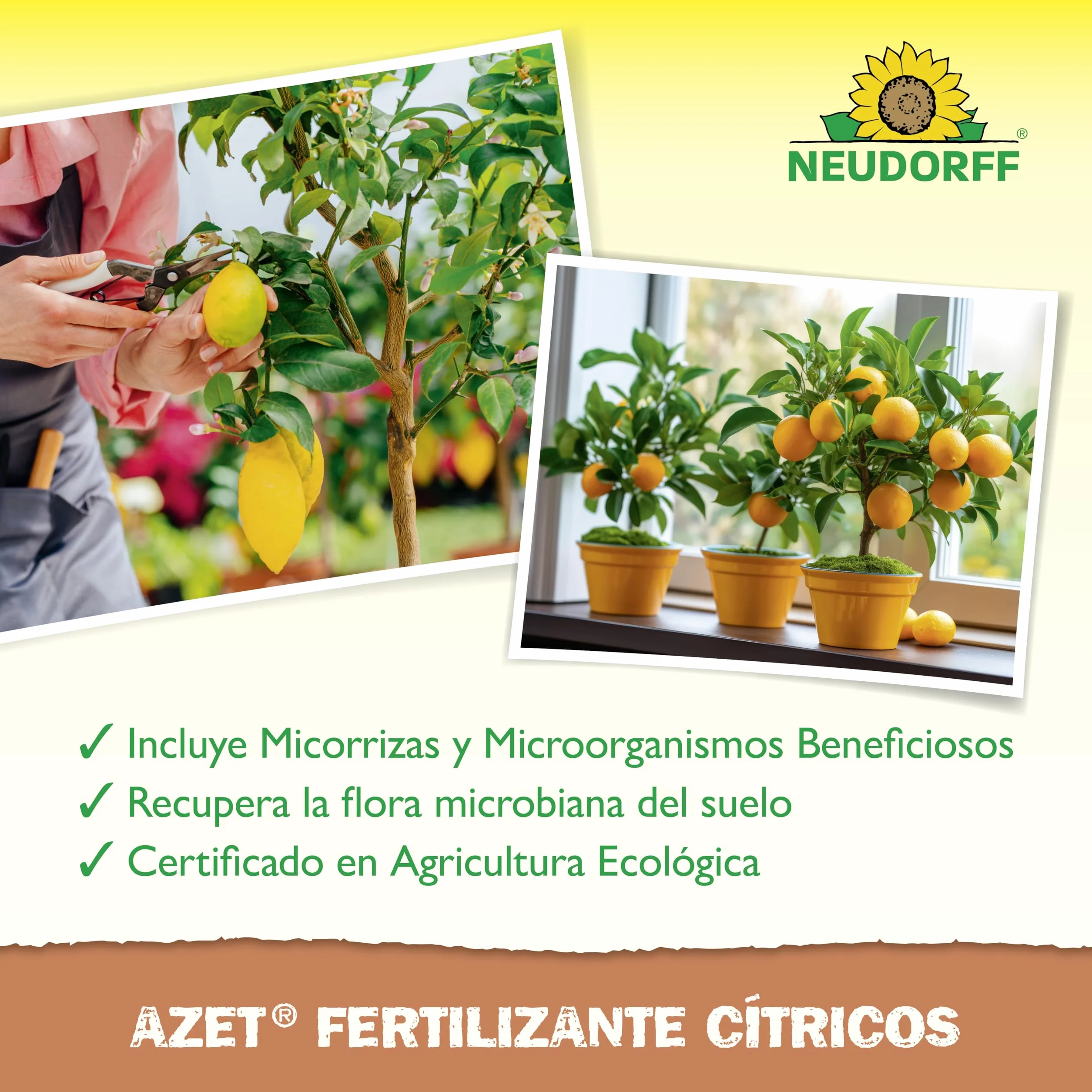 Neudorff Azet Fertilizante Cítricos 1 kg – Fertilizante orgánico de liberación lenta con micorrizas