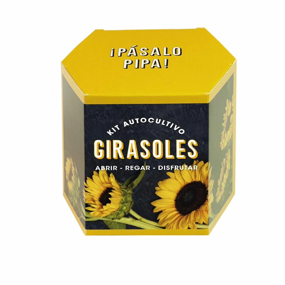 Kit Autocultivo Girasoles Cultiva en Casa Regalo Original Niños Adultos