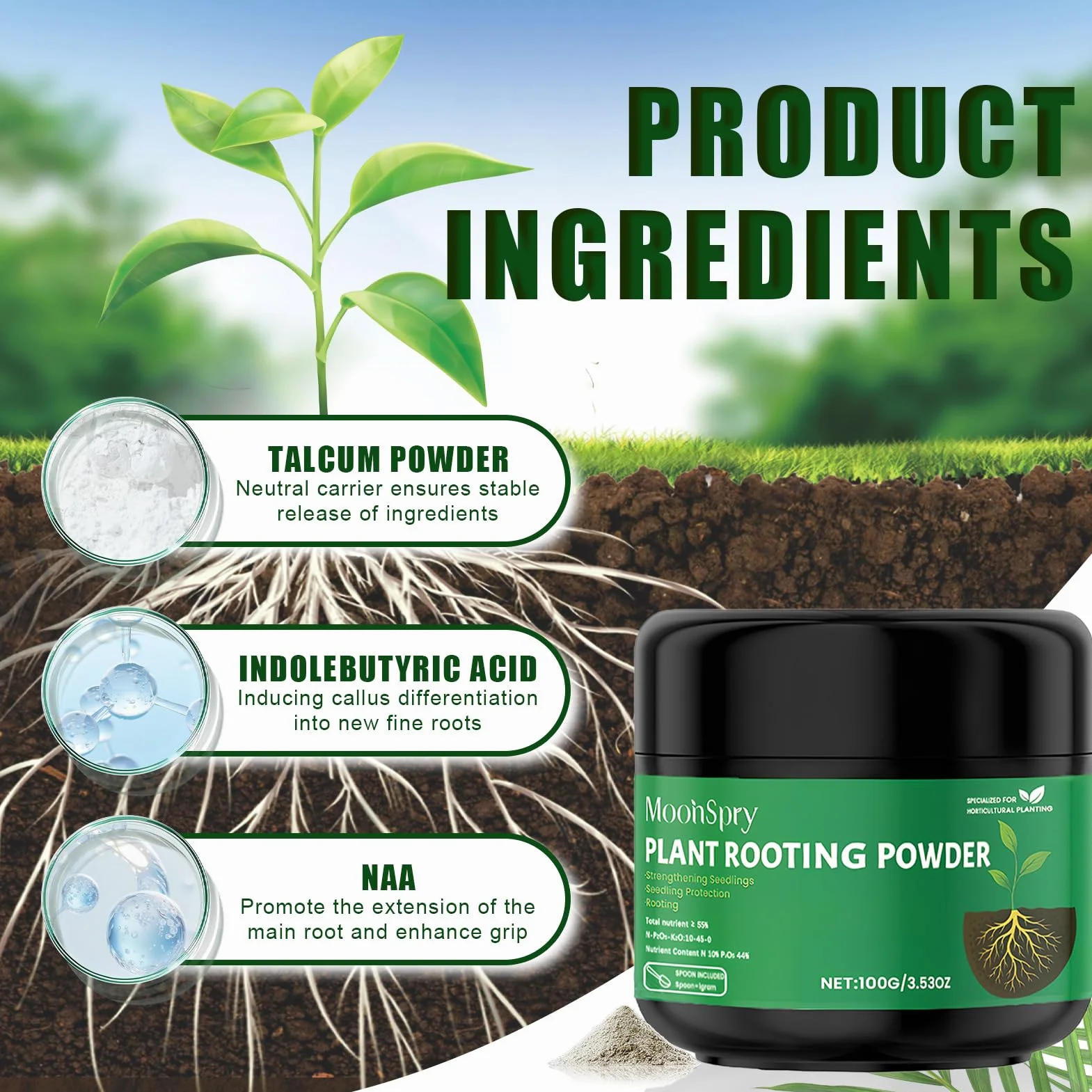 Activador de raíces en polvo rápido 100g con cuchara para esquejes interior y exterior