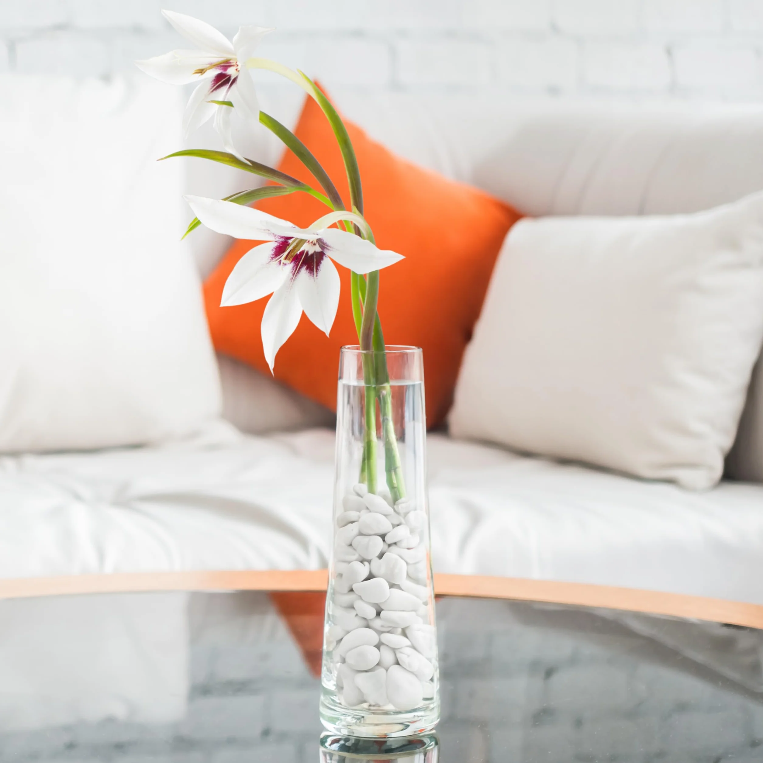 Natural White Stone Decorative Pebbles 1,35 kg - Aquarium, Terrarium, Planter, Vase Filler - Indoor Outdoor Garden Stones
