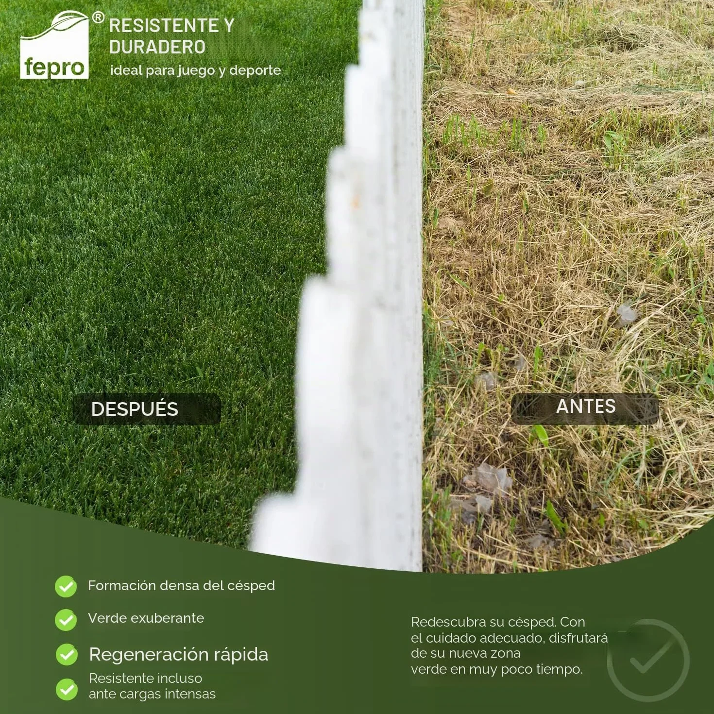 Semillas de césped 10 kg 400 m² germinación rápida deportes juegos verde intenso