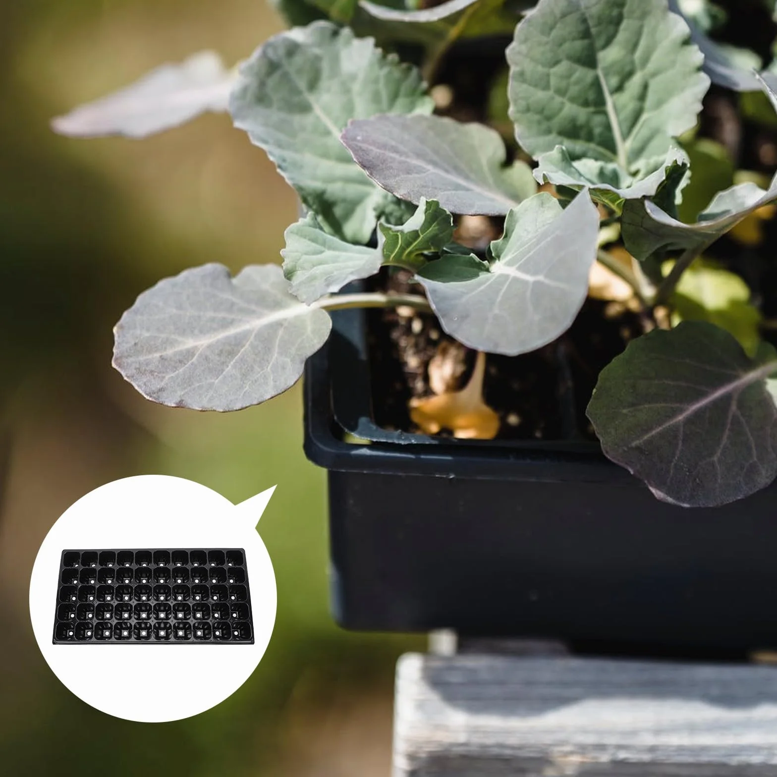 Olla para Plantar Jardín Diseño de 50 Agujeros, Bandeja de Germinación de Plantas Resistente Sequía y Material PP, Paquete de 10 Piezas para Cultivo Estable