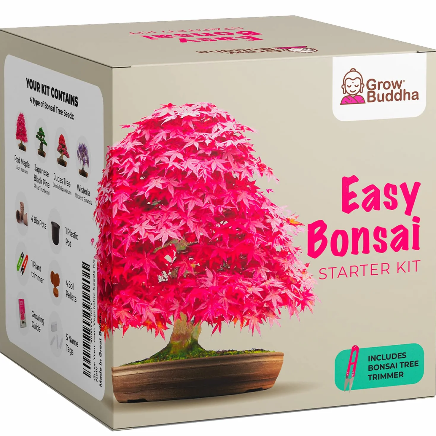 Kit de semillas de bonsái para principiantes: cultiva 4 tipos de árboles, set de regalo único