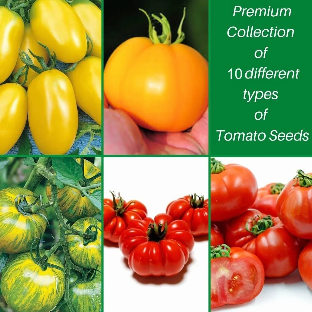 Nojus Juego de semillas de tomate 10 variedades Kit de inicio 10 paquetes