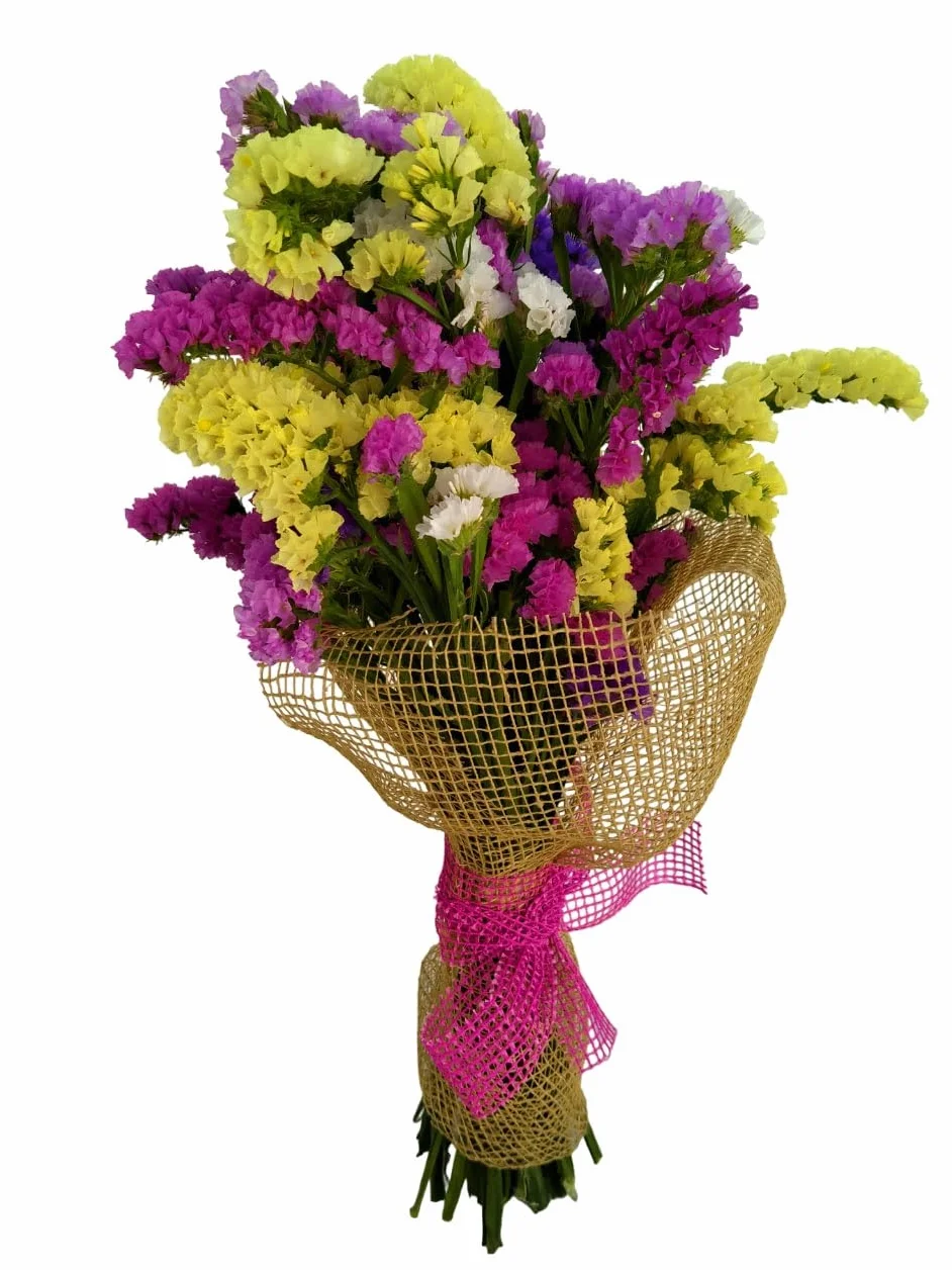 Ramo Flor Seca SIEMPREVIVA Flores