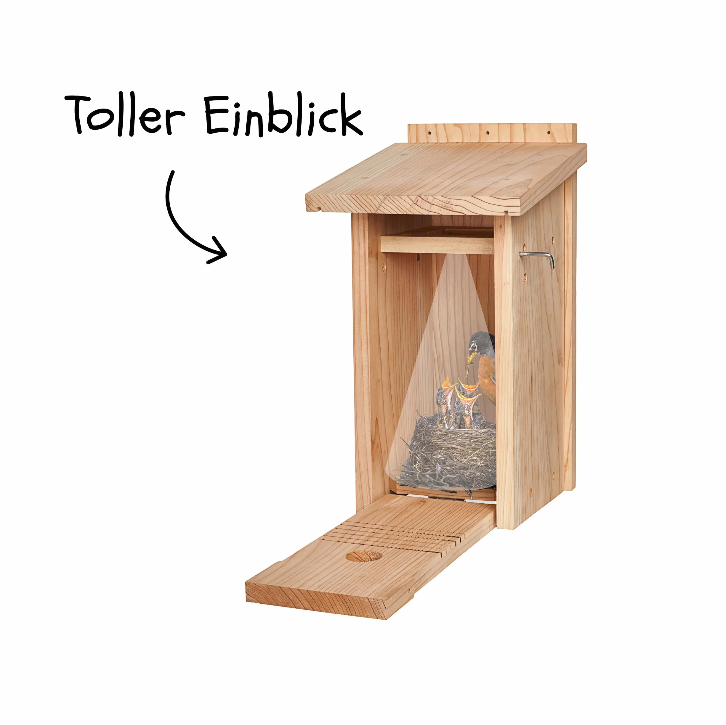 Little Birds - Caja nido para cámara "Blink", madera maciza ecológica, protección para gatos y pájaros carpinteros, incubadora