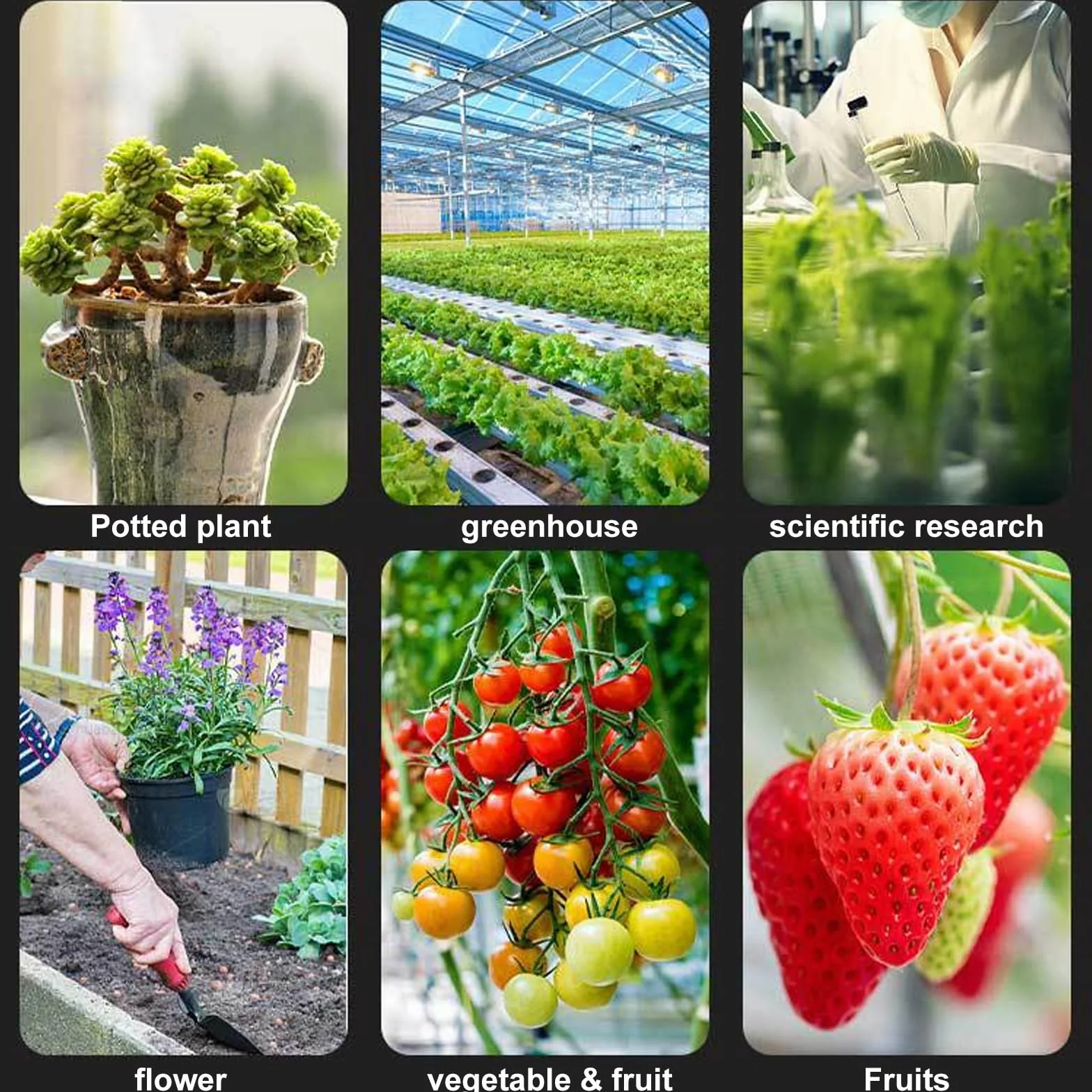 Vegena Medidor de humedad 6 en 1 para plantas, medidor de suelo pH temperatura luz solar humedad ambiental