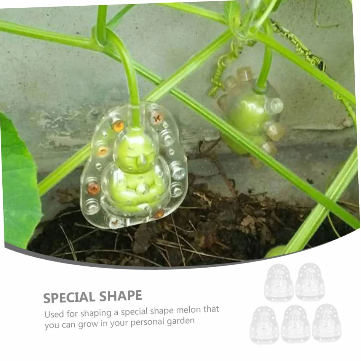 BESPORTBLE 5 piezas Moldes Transparentes Para Frutas Ginseng Jardinería Verduras