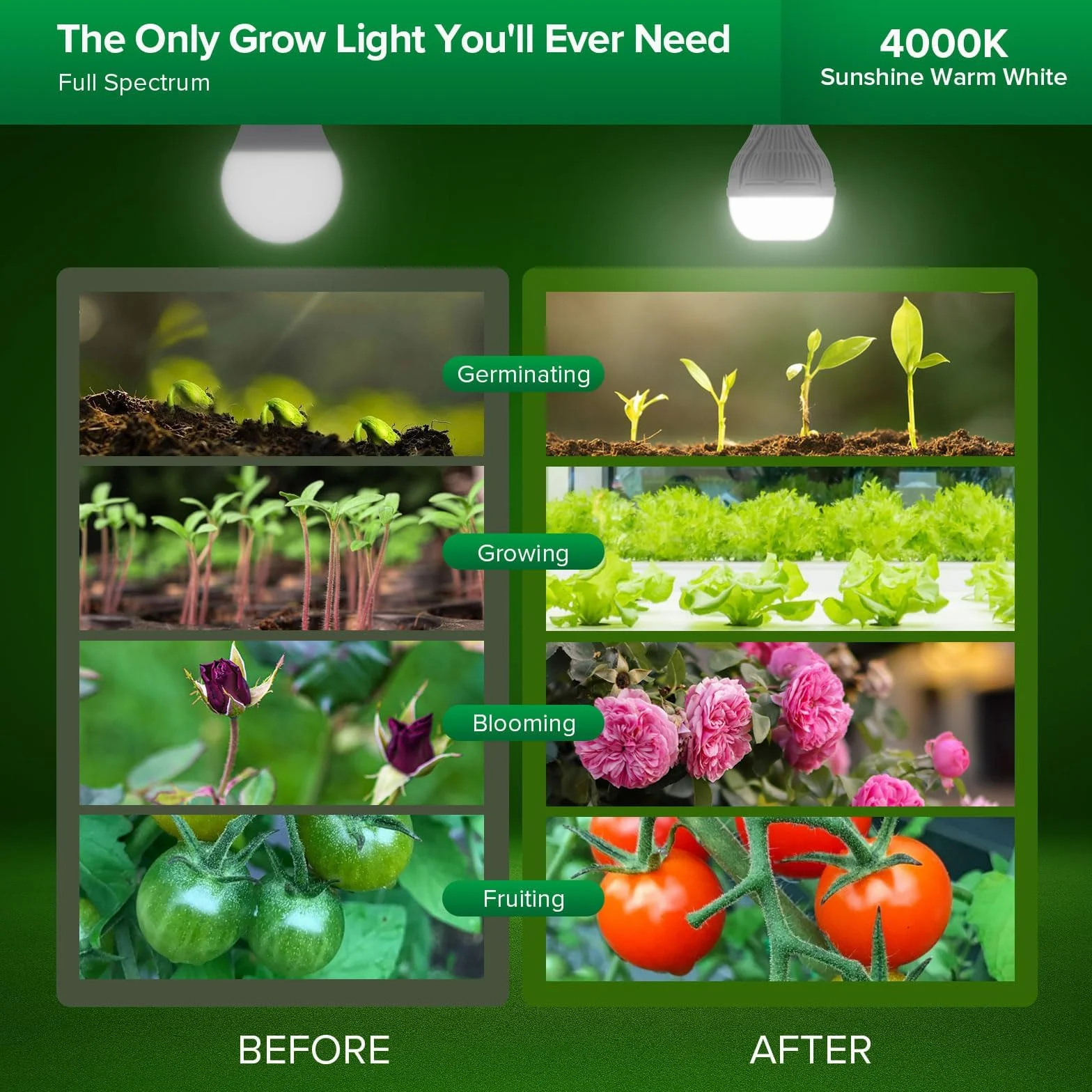 SANSI Lampara de Plantas 150W, Bombilla LED Crecimiento E27, Espectro Completo, 120°, PPF 16 μmol/s, 2x1 Sq Ft