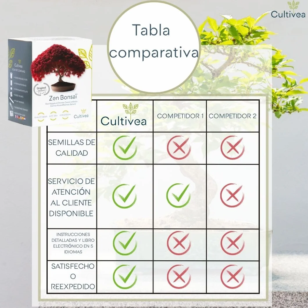 CULTIVEA® Kit de 6 Bonsái para cultivar - Arce rojo, Cercis chino, Albizia, Cornejo kousa, Abeto de Noruega