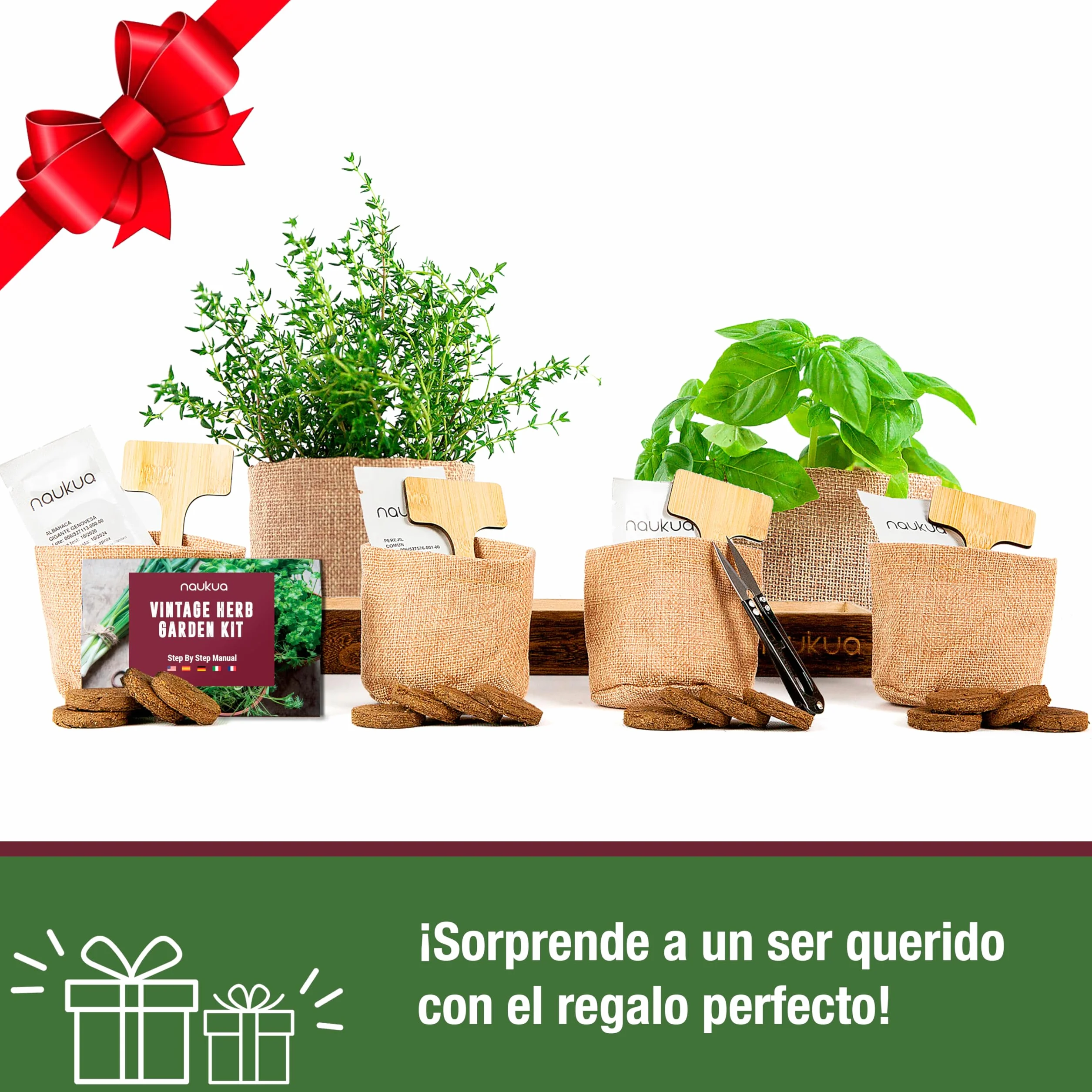 Mini Huerto Urbano Vintage Semillas Orgánicas España Kit Completo Hierbas Aromáticas Culinarias Tomillo Albahaca Perejil Cilantro