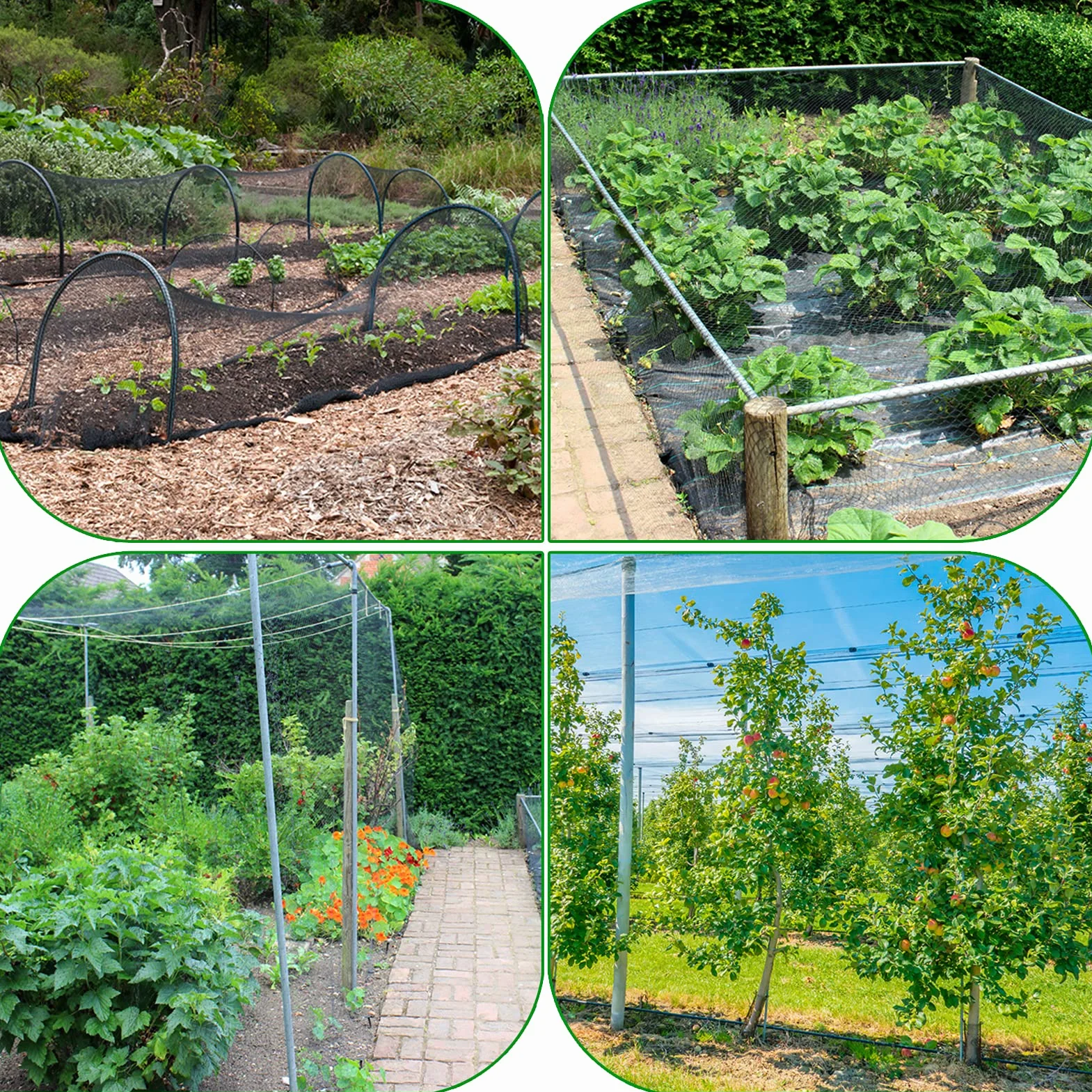 Red para pájaros, 2,3 m x 30 m, Kit de Red de jardín, Malla de Frutas, Protege Plantas, árboles frutales, Verduras, Flores contra pájaros, Palomas, Ciervos y Otros Animales