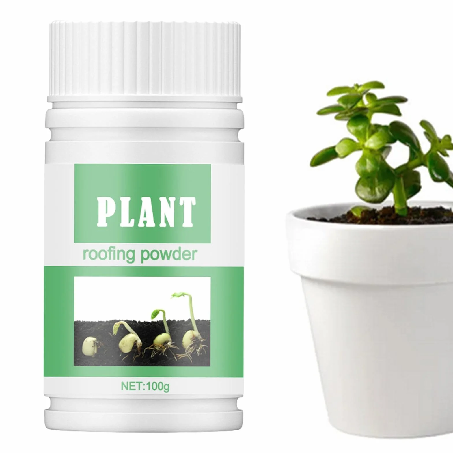 Polvo De Enraizamiento Para Esquejes De Plantas Suculento Crecimiento Rápido