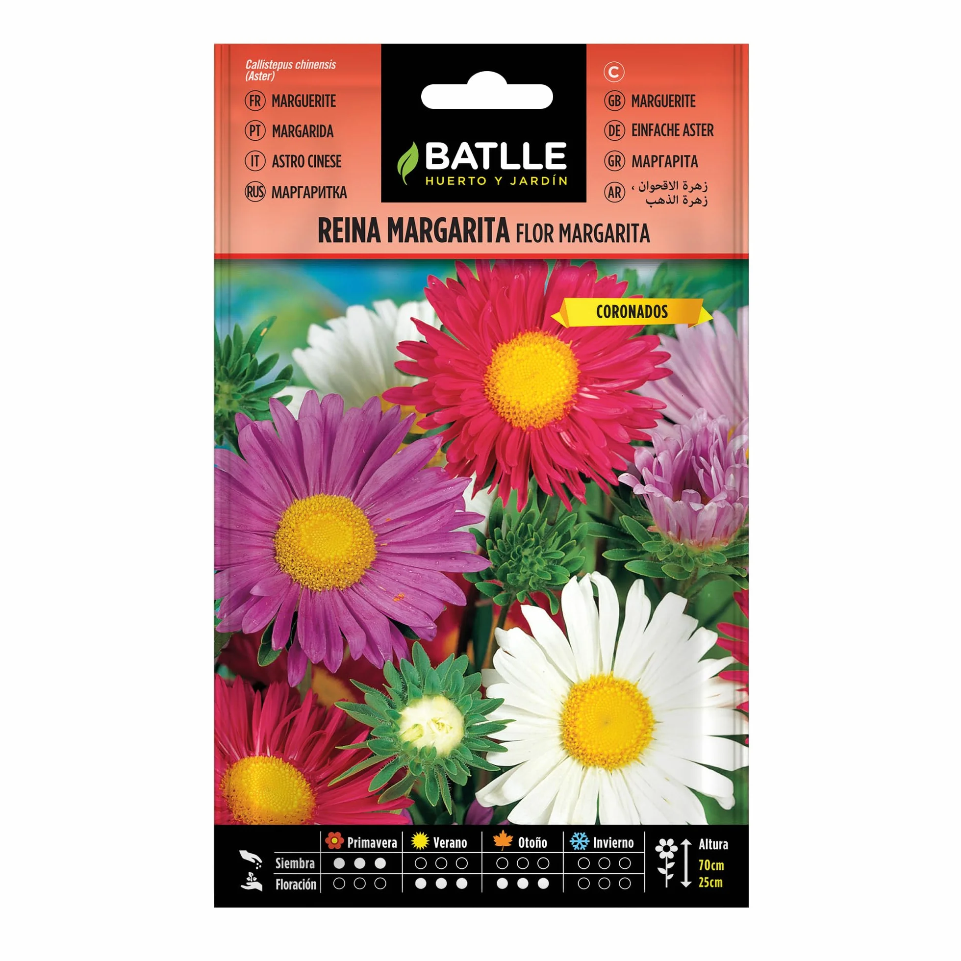 BATLLE Reina Margarita Flor Margarita Semillas para Plantar Flores Anuales