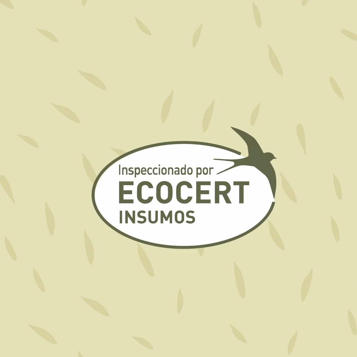 CULTIVERS Enraizante Ecológico 250 ml hormonas de enraizamiento naturales