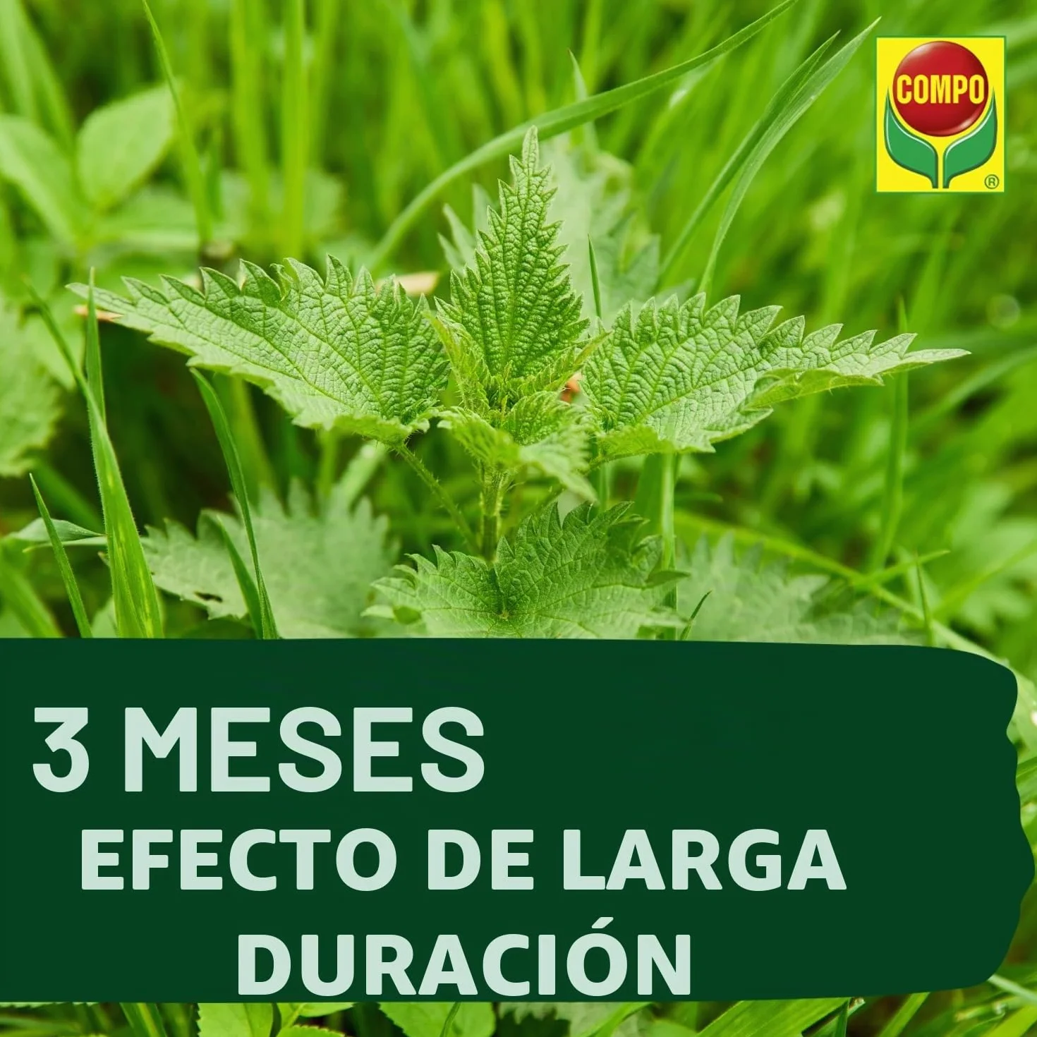 Compo Abono para césped con herbicida 12 kg 400 m² Primavera