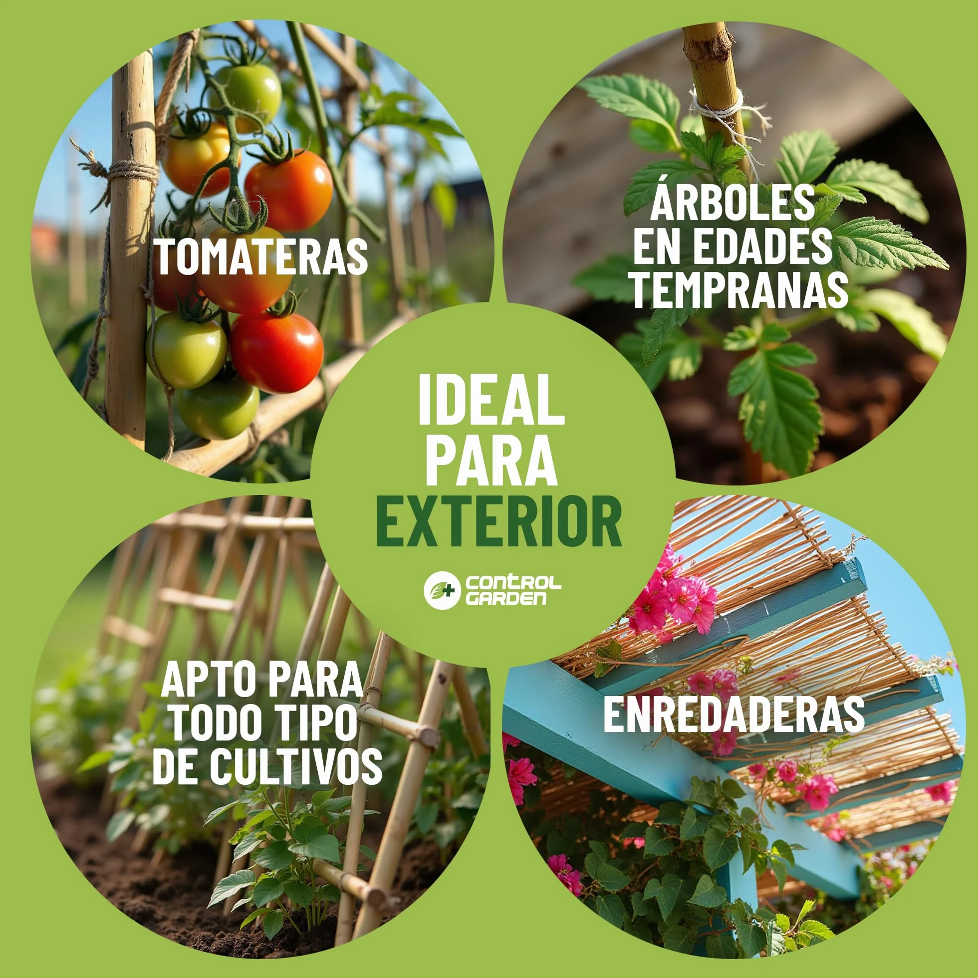 Control Garden Pack 30 Unidades Tutor de Bambú Ecológico 180 cm Estaca Natural Caña Sujetar Plantas ø 10-12