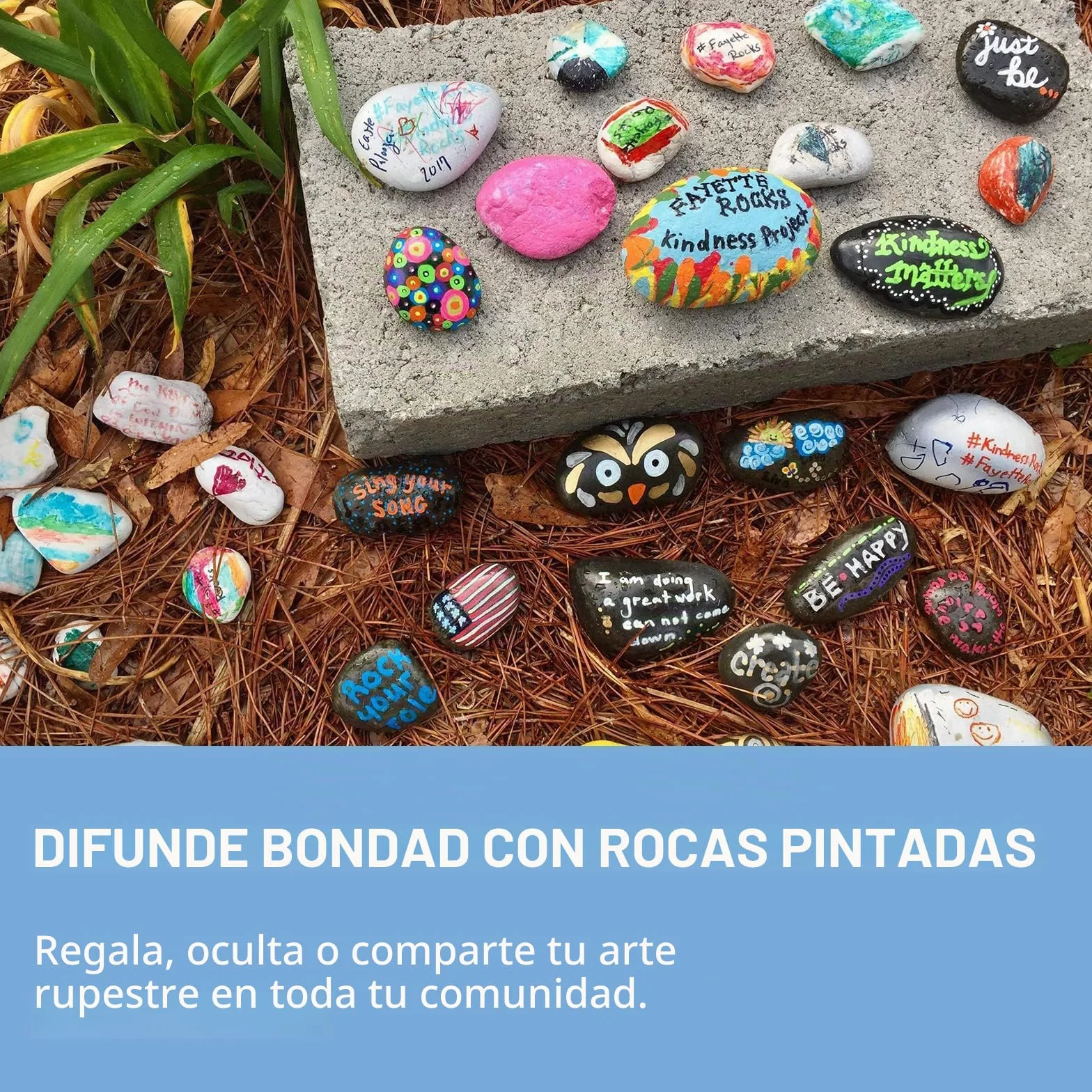 Piedras Planas Grandes para Pintar, Piedras Creativas Pintadas a Mano, 20 Piezas