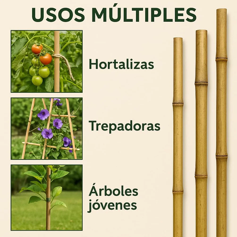 Tutores de Bambú 150 cm Ø 10/12 mm para Huerto, Tomateras y Jardín