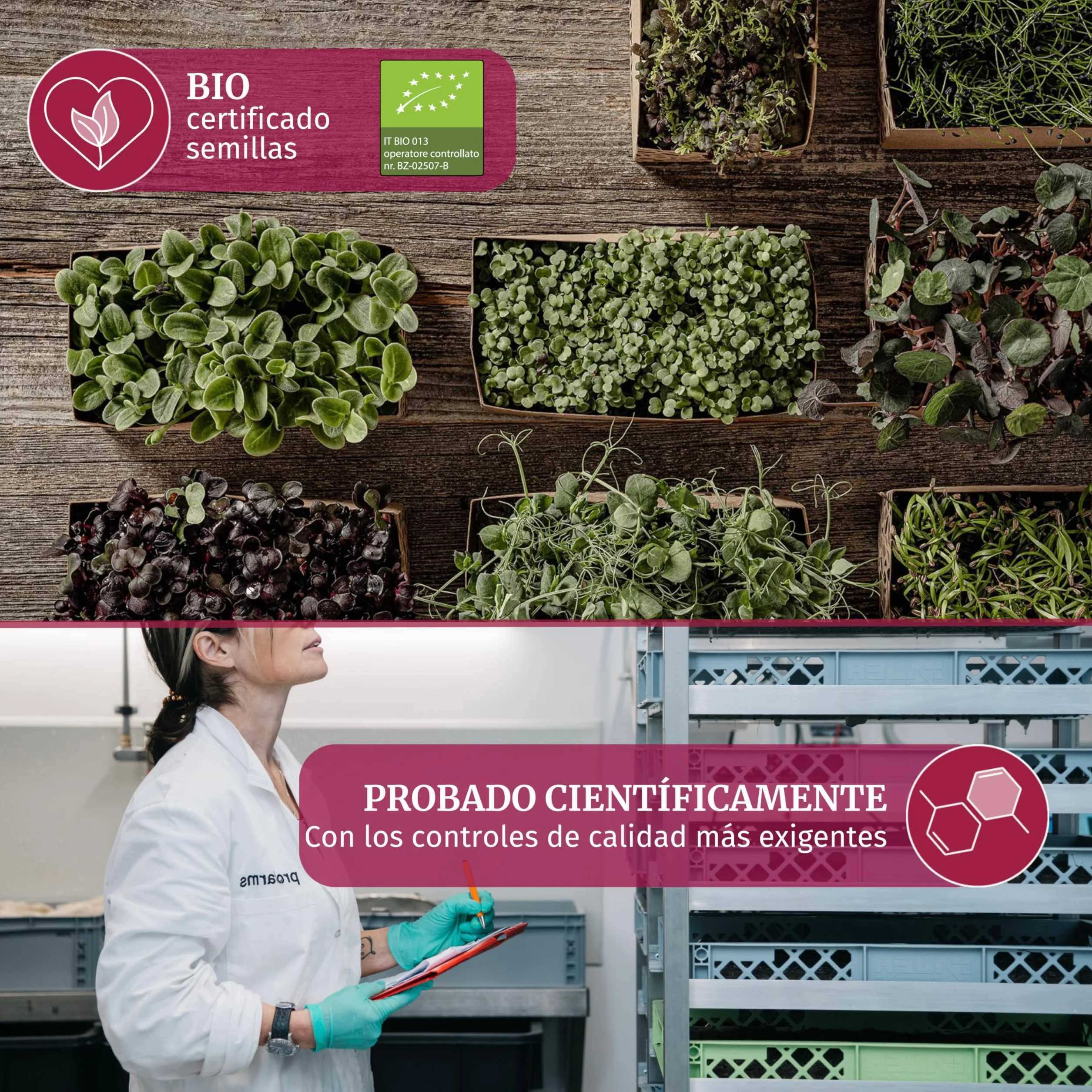 LERAVA Profarms Kit Microgreens BIO Cultiva en Casa Brotes Tiernos Rábanos Ajo Brócoli Rúcula Rábano Picante Guisantes Semillas Germinar 6 Pads Cáñamo