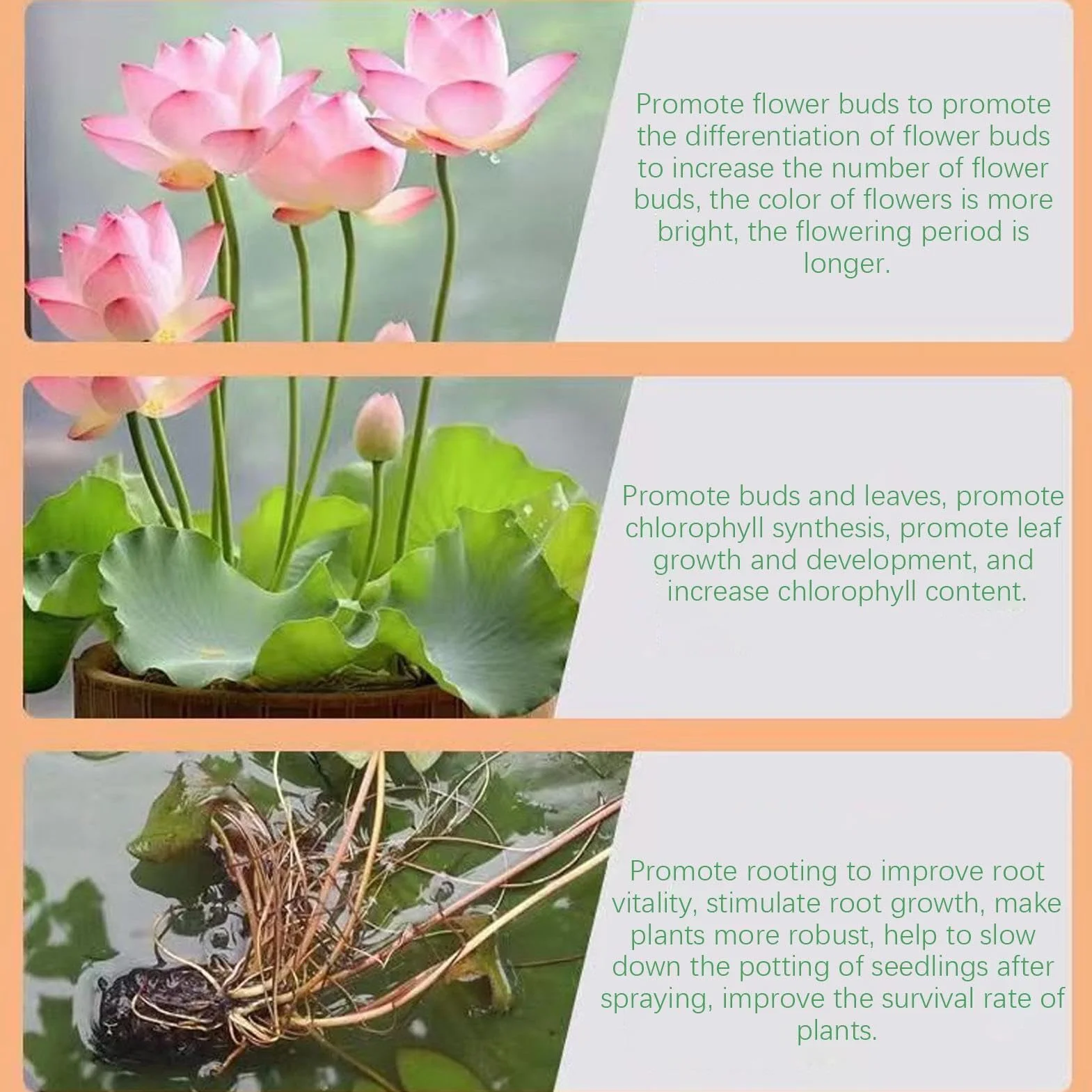 Fertilizante De Nenúfar: Pastillas De Raíz De Nenúfar, Potenciador De Flores Para Un Crecimiento Saludable | Alimento Eficaz Para Plantas De Acuarios Y Estanques, Fertilizante Para Plantas Acuáticas P