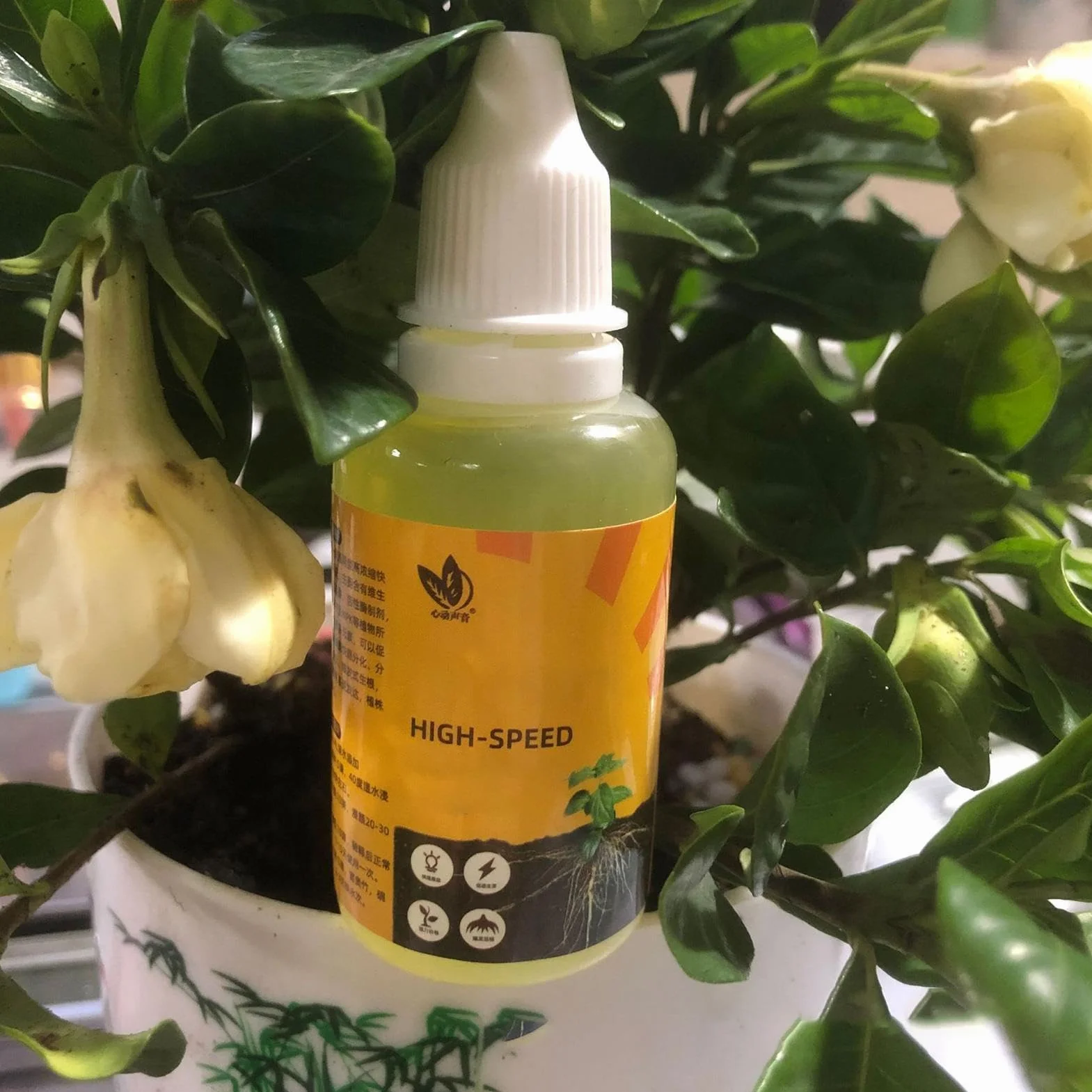 Enraizante para Esquejes Gel de Enraizamiento 50ml Paquete de 2