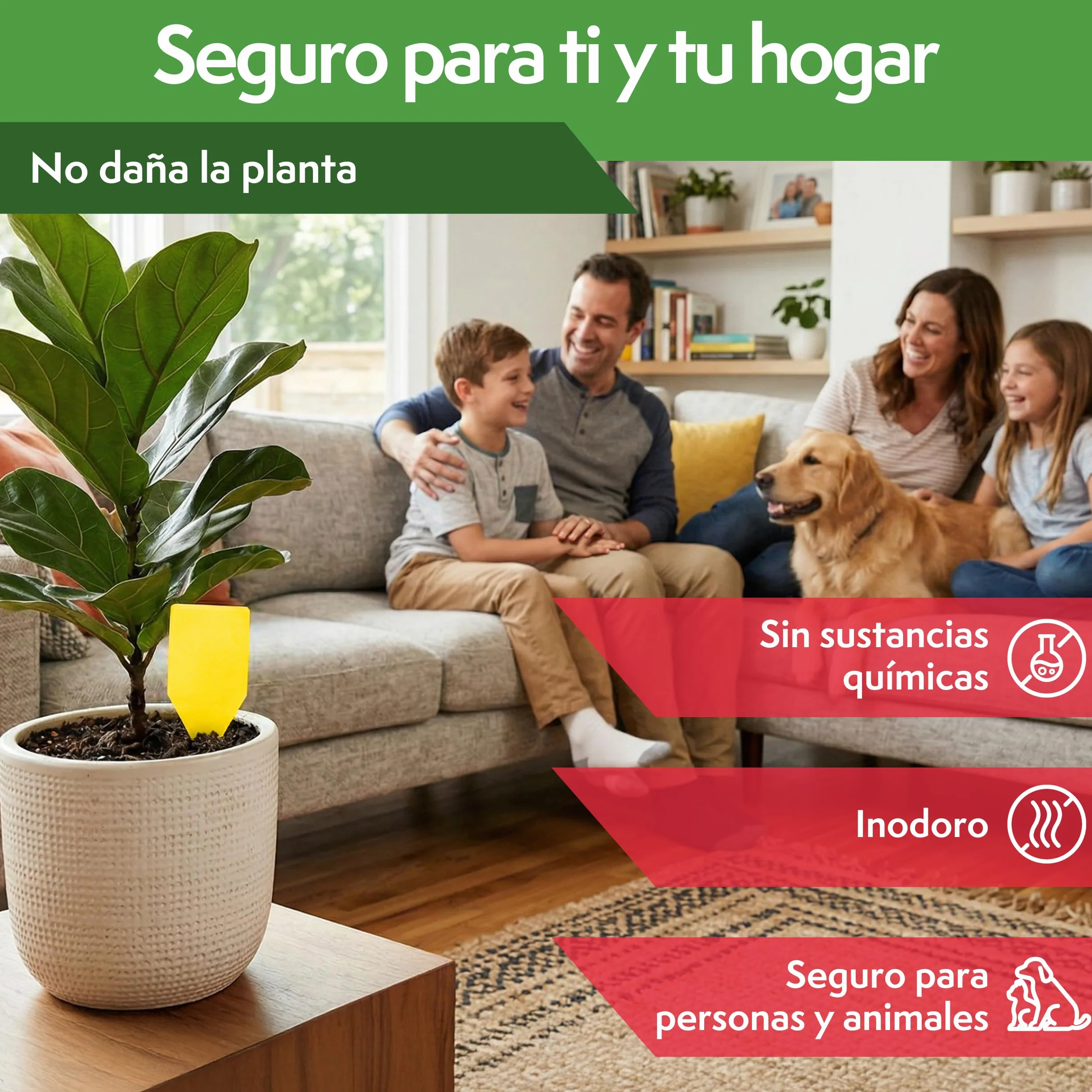 PATTLER Trampas Cromáticas Amarillas para Plantas 30 Unidades