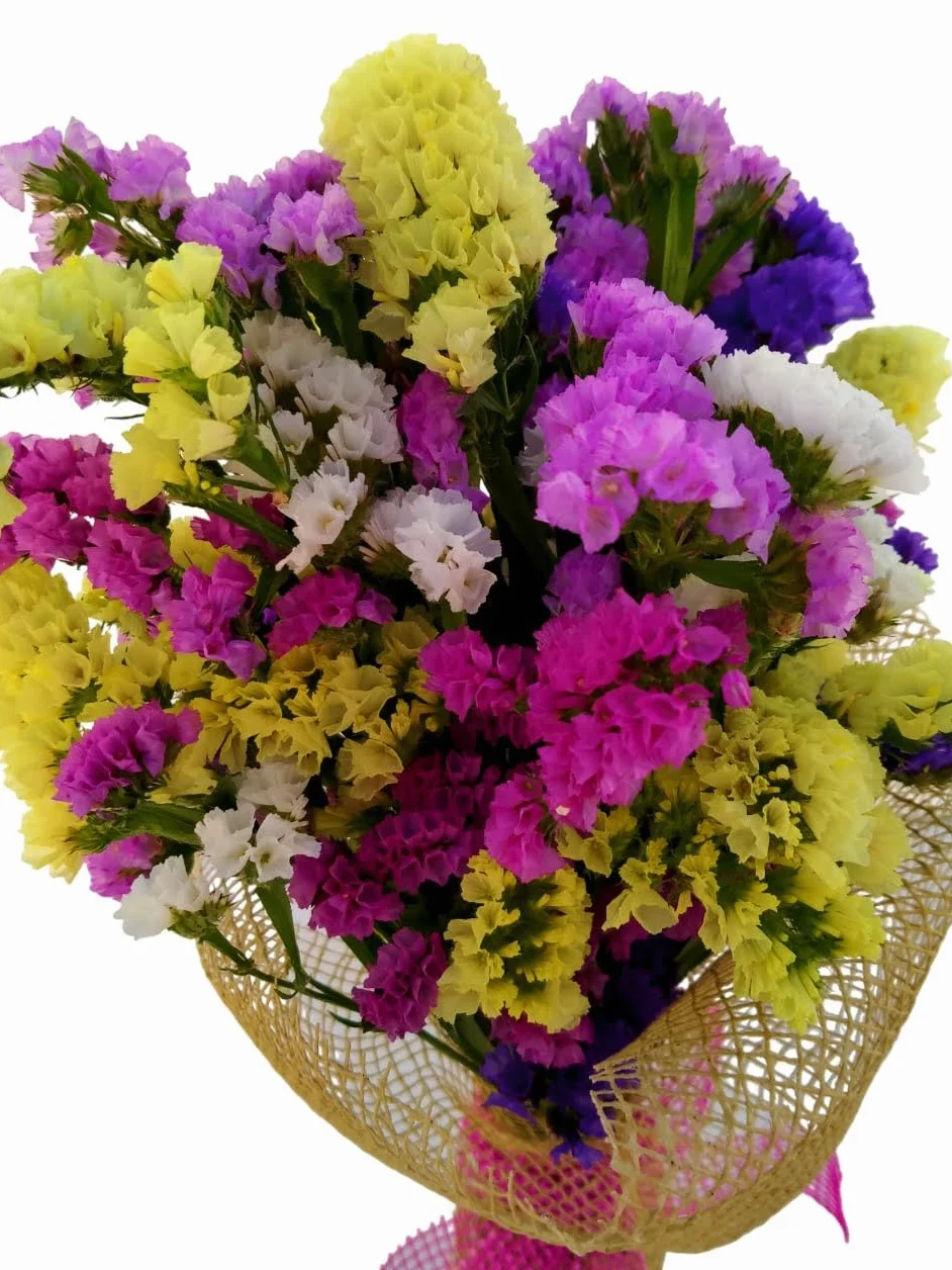 Ramo Flor Seca SIEMPREVIVA Flores