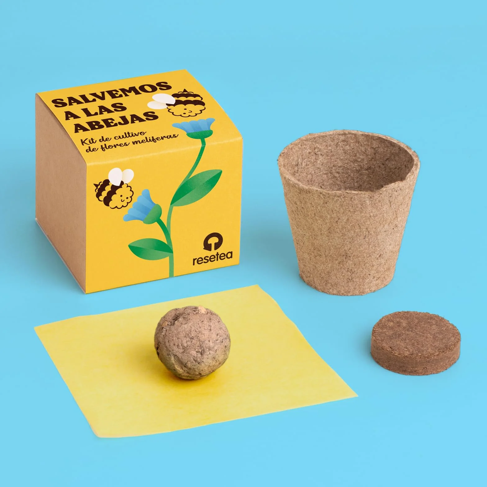 Kit de Cultivo de Flores Melíferas Bomba de Semillas para Polinizadores Regalo Educativo