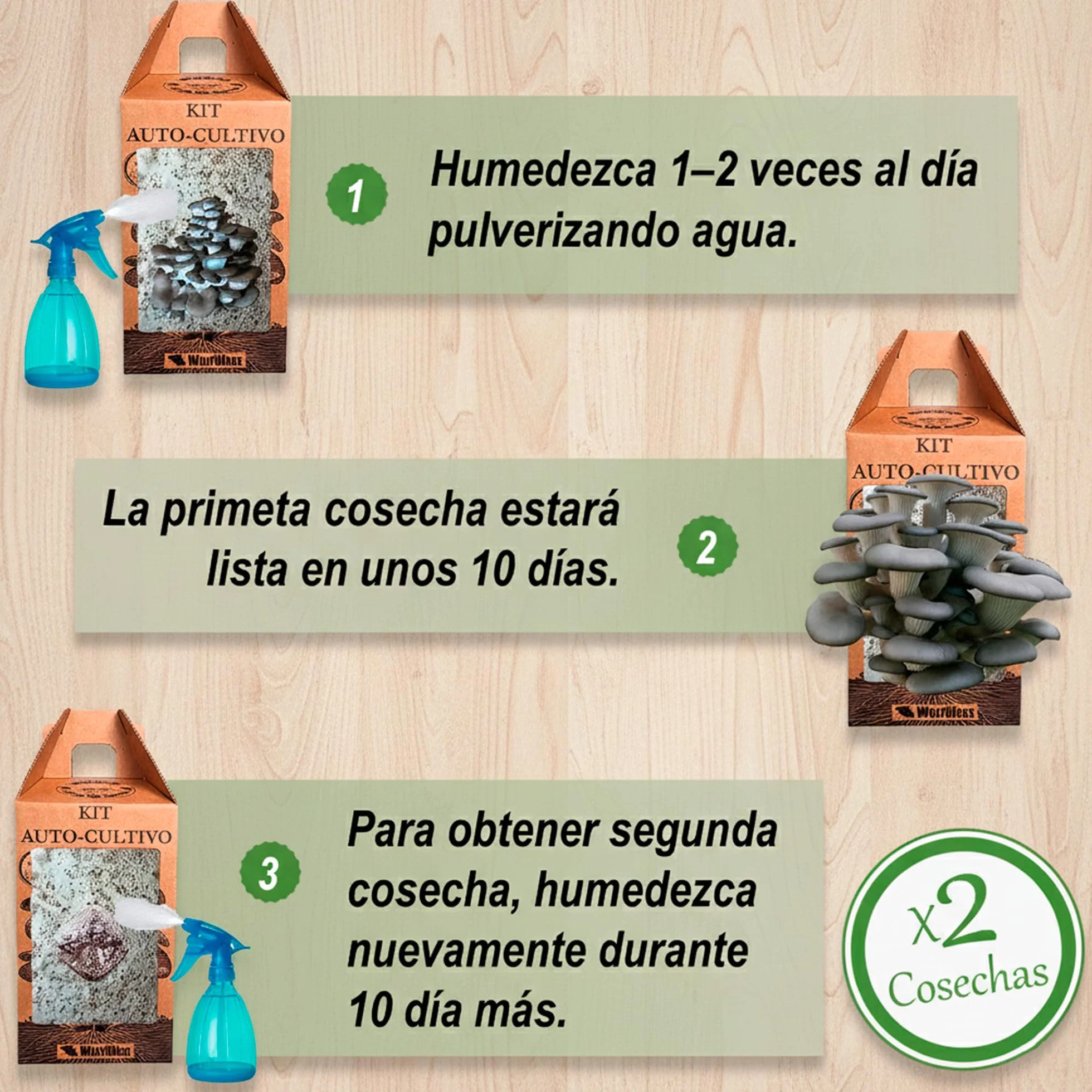 Kit autocultivo setas ostra 10 días cosechas alpaca spray pulverizador regalo cocina jardinería