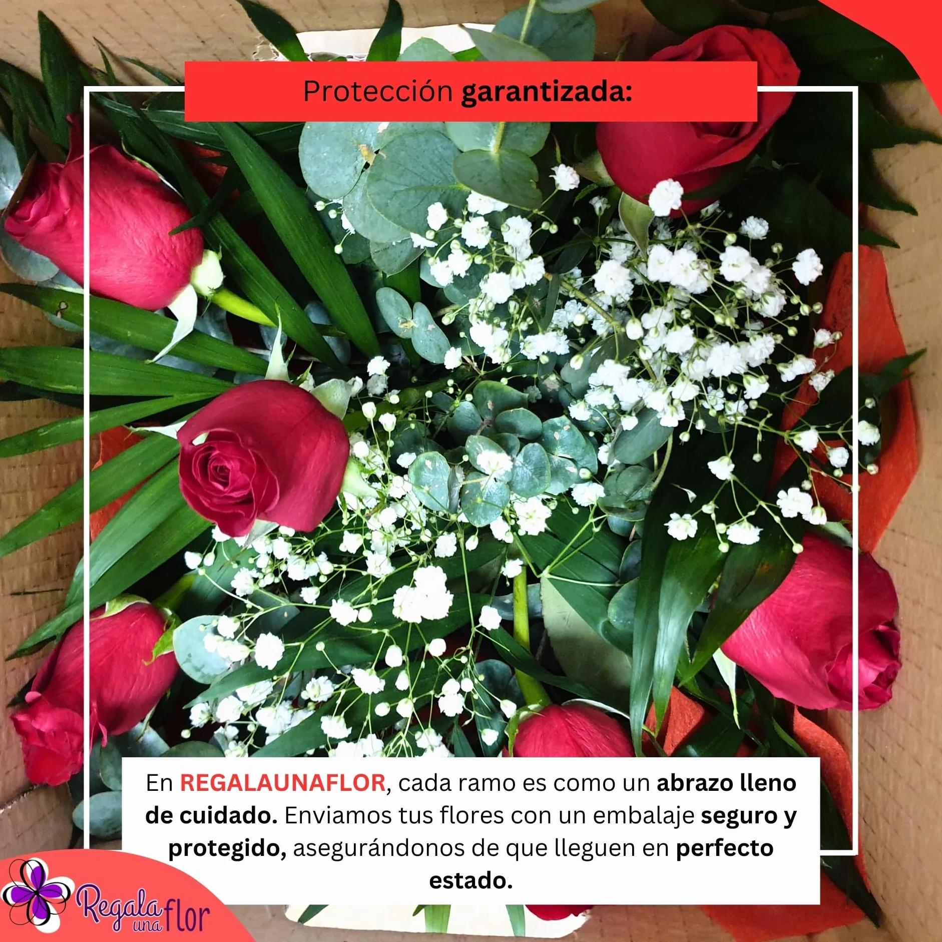 Ramo de 6 rosas naturales a domicilio con bombones, osito y tarjeta